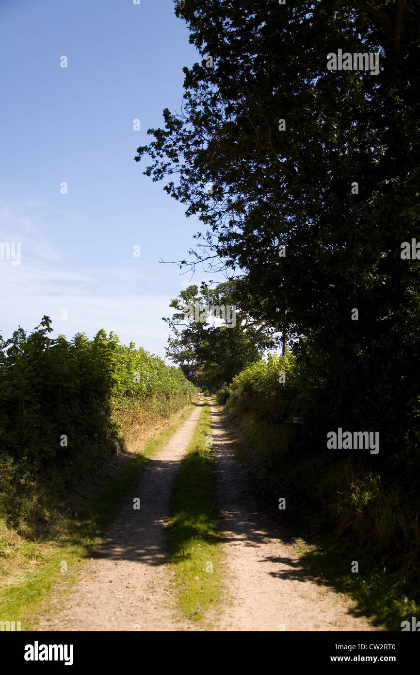 Un rurale ghiaia via in North Norfolk,UK durante l'estate con il blu del cielo e il verde della vegetazione. Foto Stock