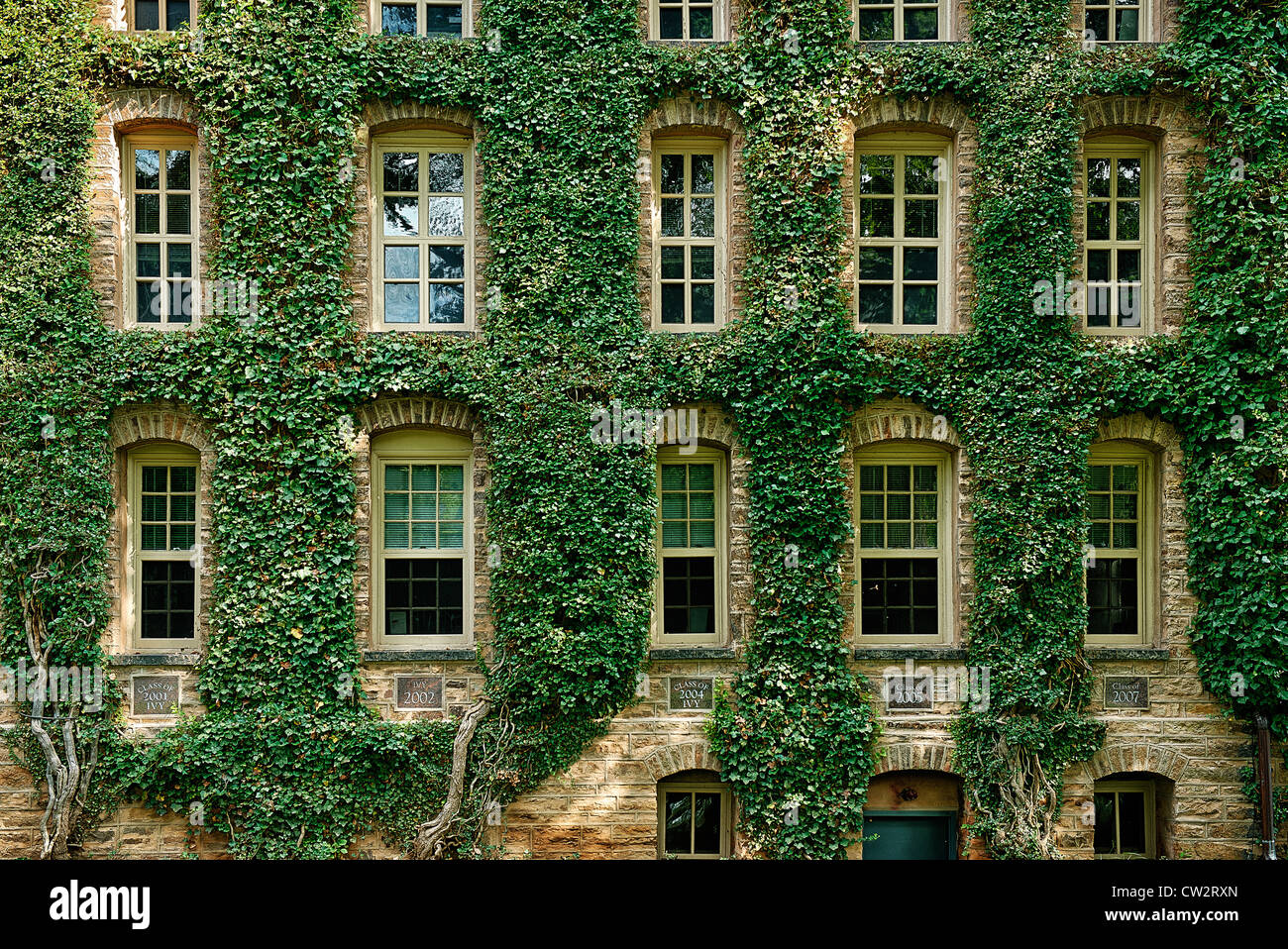 Coperto di edera informazioni edificio, l'Università di Princeton, New Jersey, STATI UNITI D'AMERICA Foto Stock