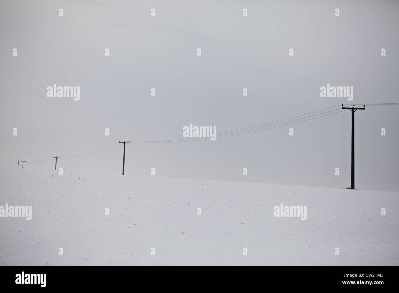 La telegrafia poli isolati in una neve e paesaggio nuvoloso Foto Stock