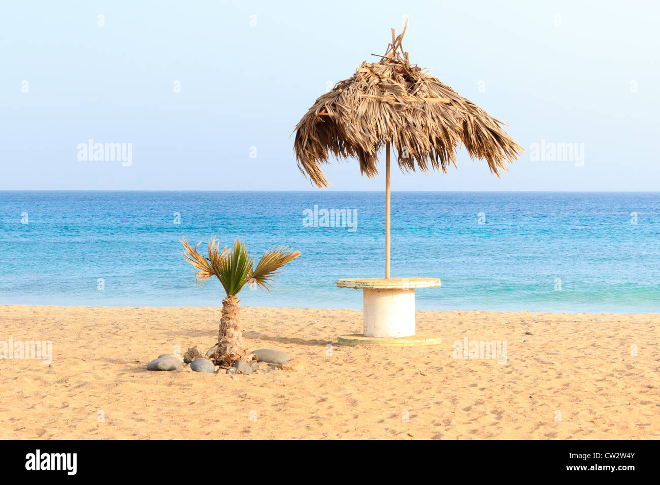 Palm e il mare Capo verde sal santa maria Foto Stock