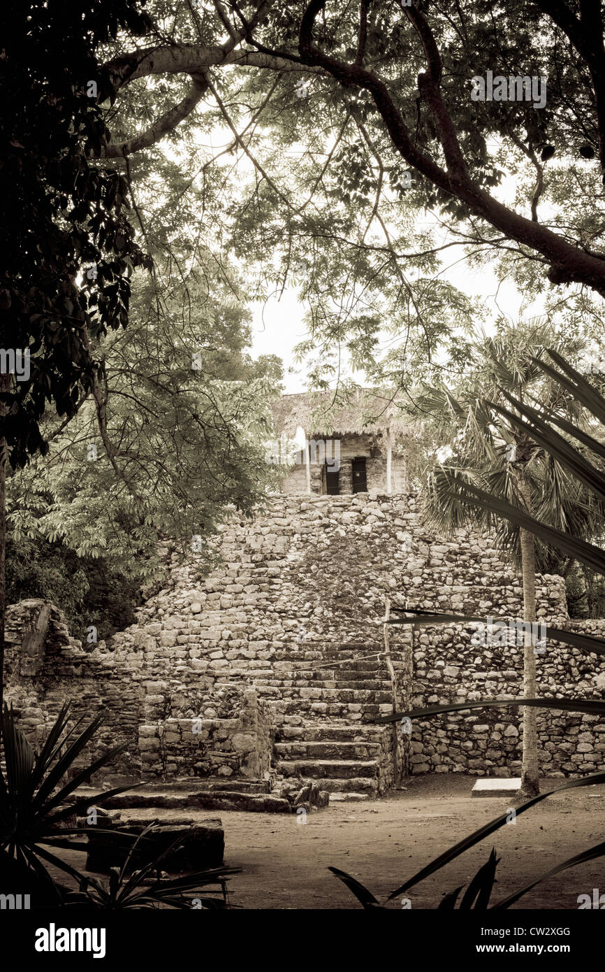 Messico,Quintana Roo,Coba, Conjunto Las Pinturas ( Piramide del dipinto architrave) Foto Stock