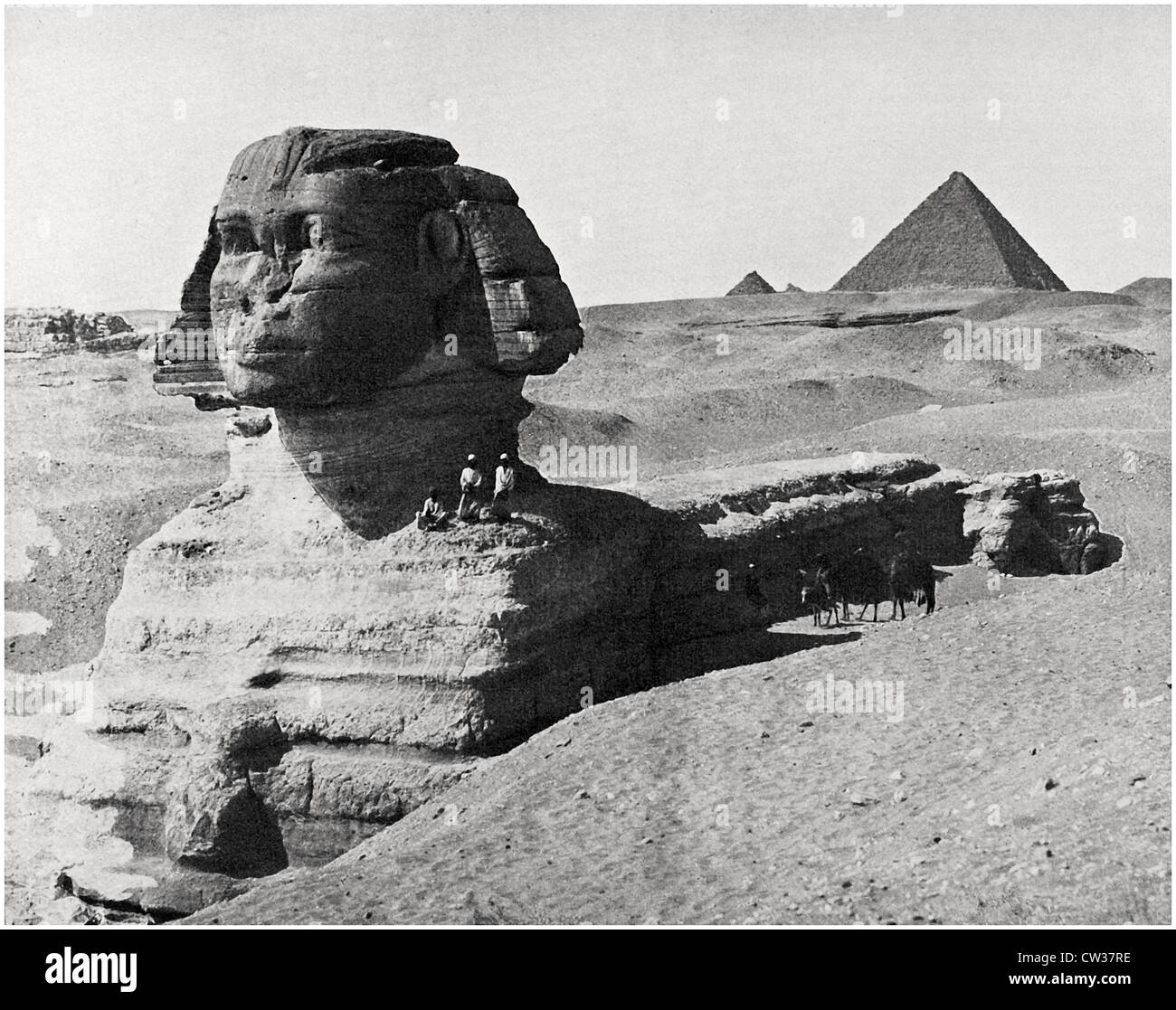 Sphinx davanti alla piramide di Khafre Foto Stock