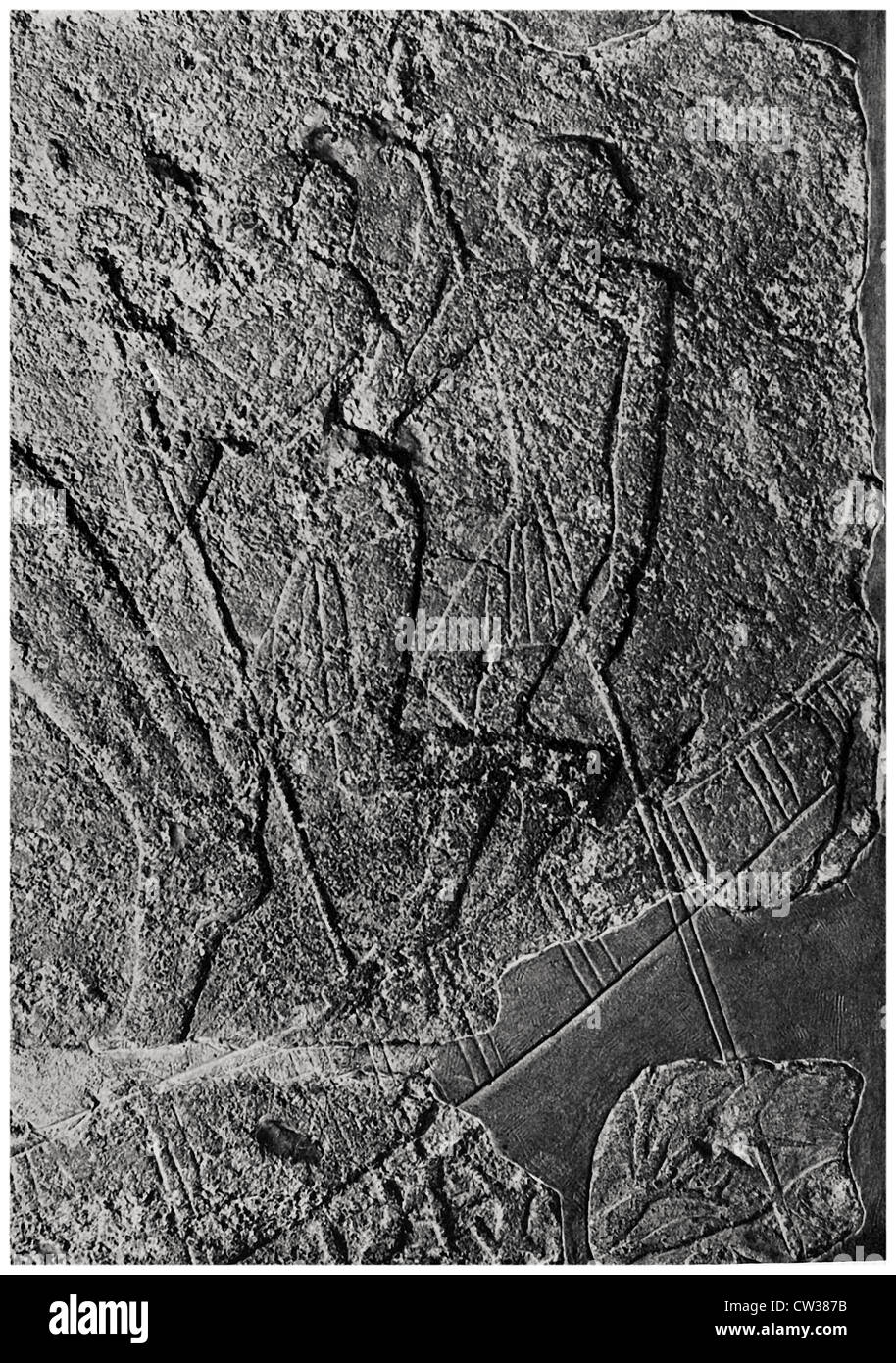 Salto di pesca Nel papiro canneto Foto Stock