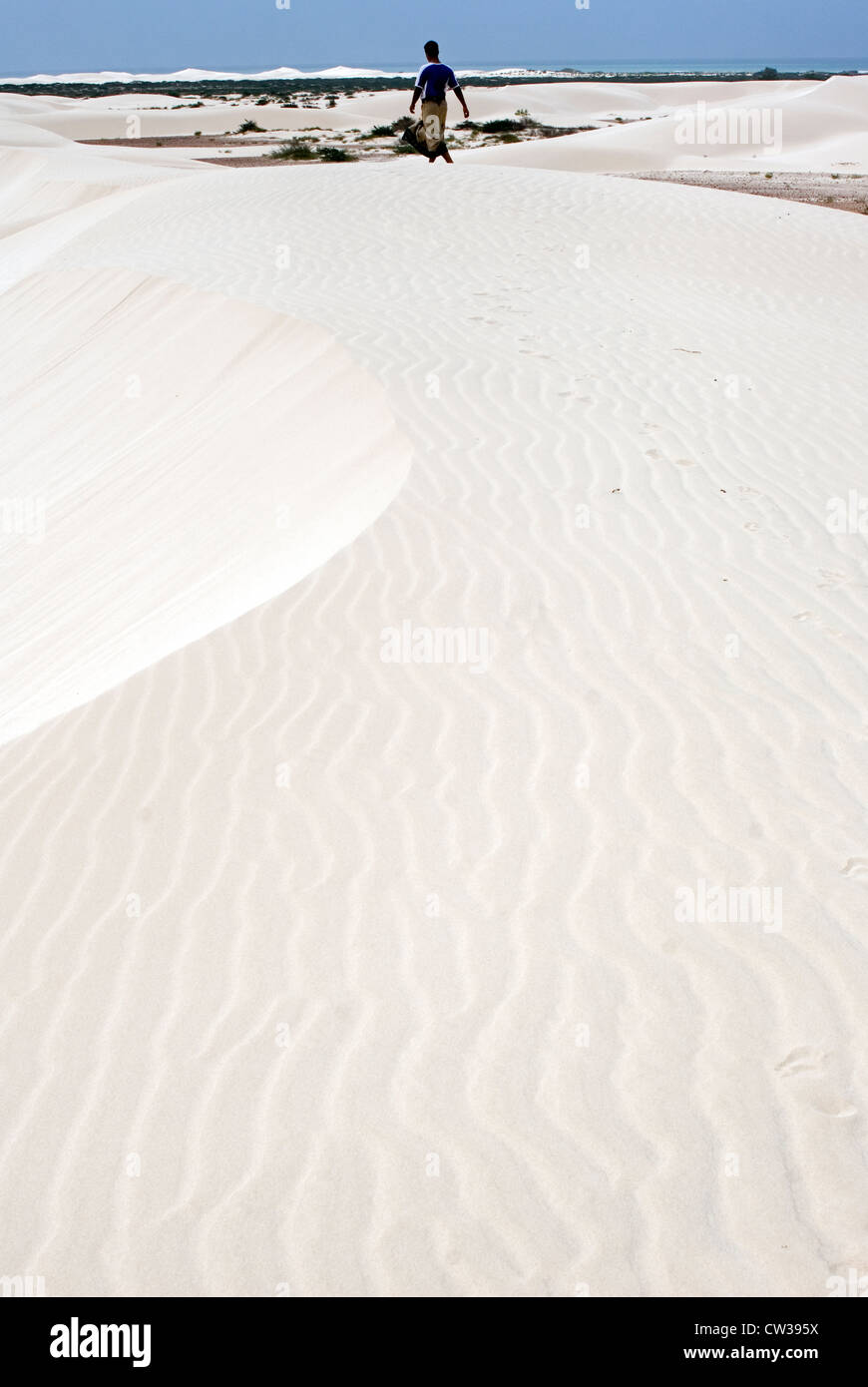 Le bianche dune di sabbia sulla costa sud, isola di Socotra, Yemen, Asia Occidentale, Penisola Arabica. Foto Stock