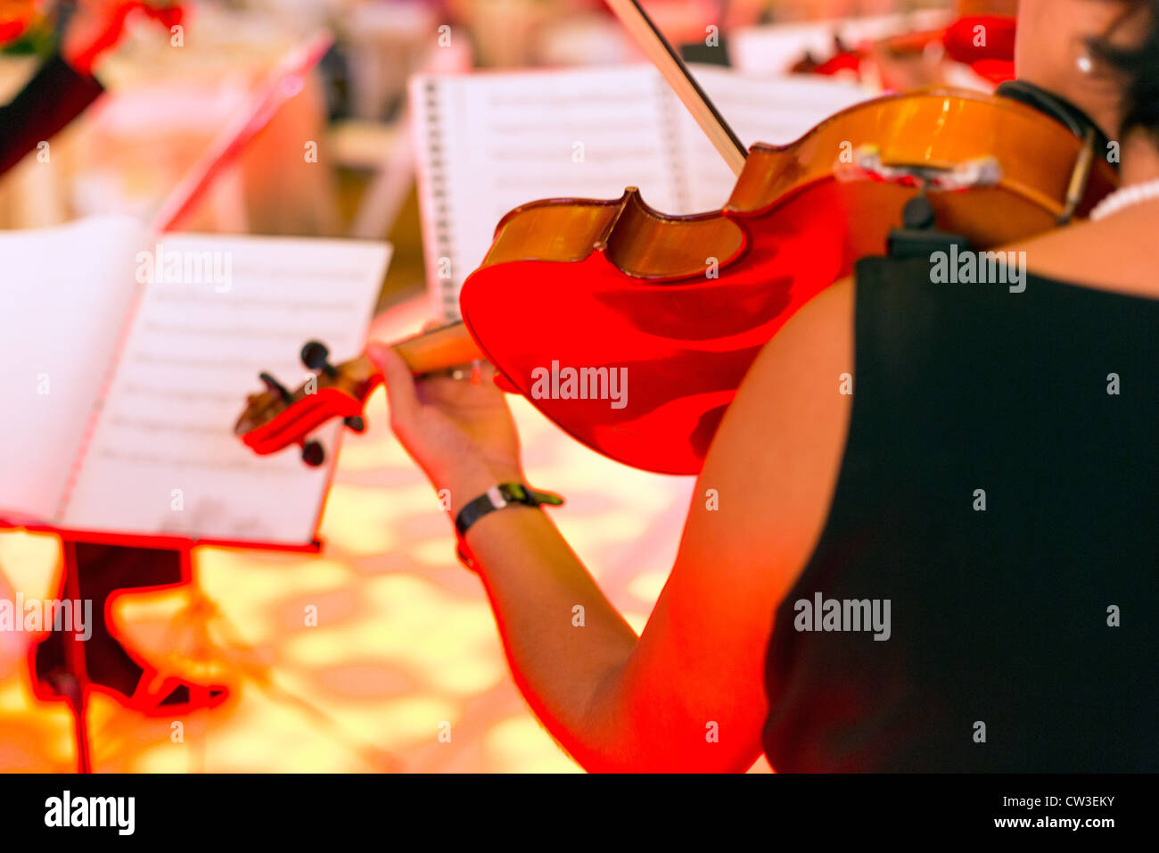 Donna suona il violino, vista da dietro Foto Stock