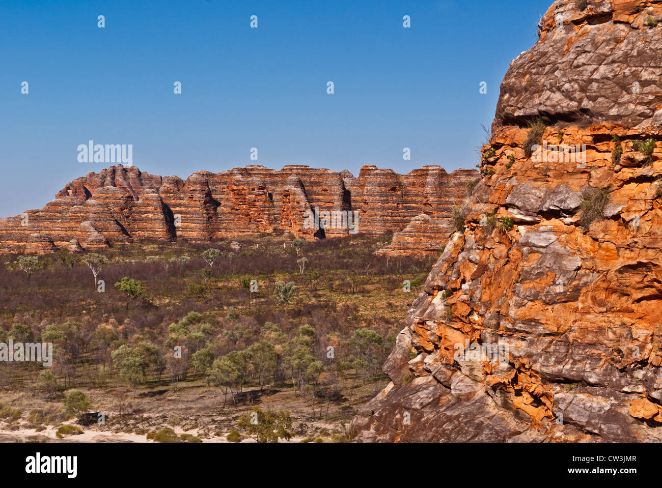 BUNGLE BUNGLE RANGE, Parco Nazionale di Purmululu, Australia occidentale, Australia Foto Stock