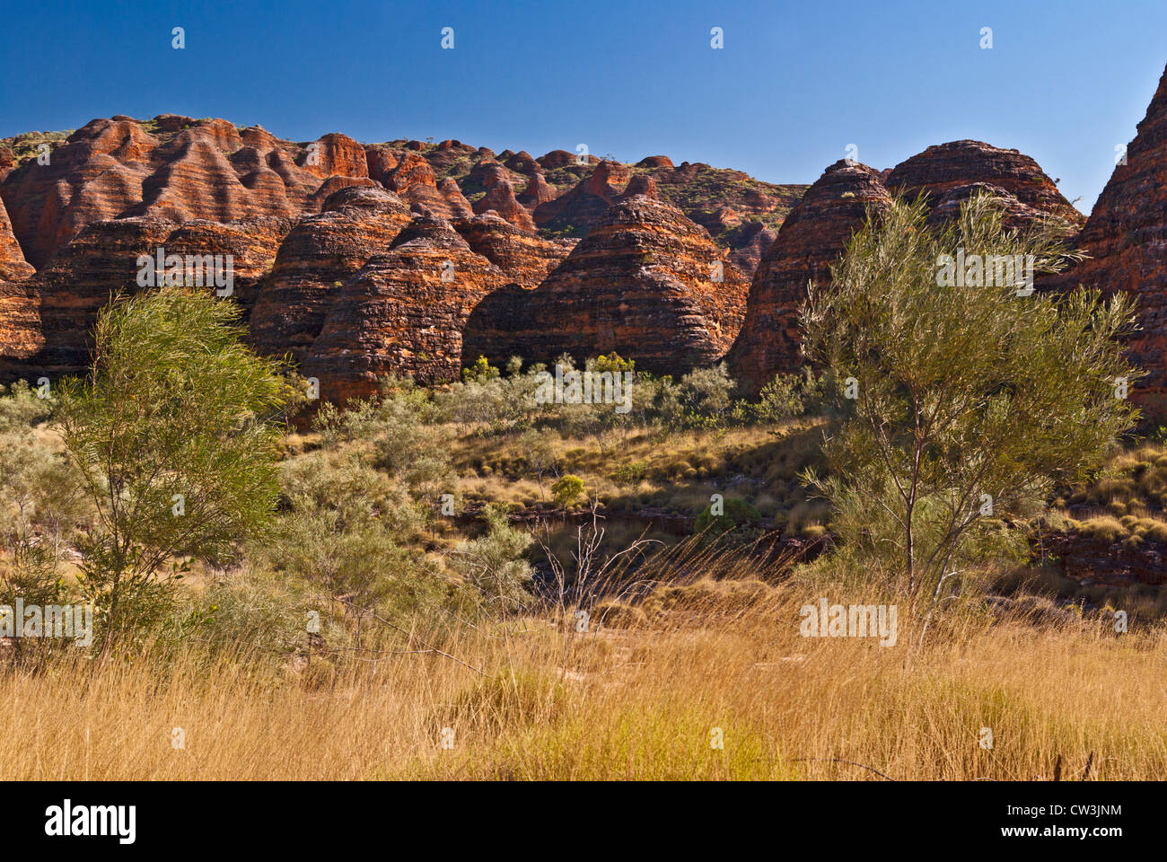 BUNGLE BUNGLE RANGE, Parco Nazionale di Purmululu, Australia occidentale, Australia Foto Stock