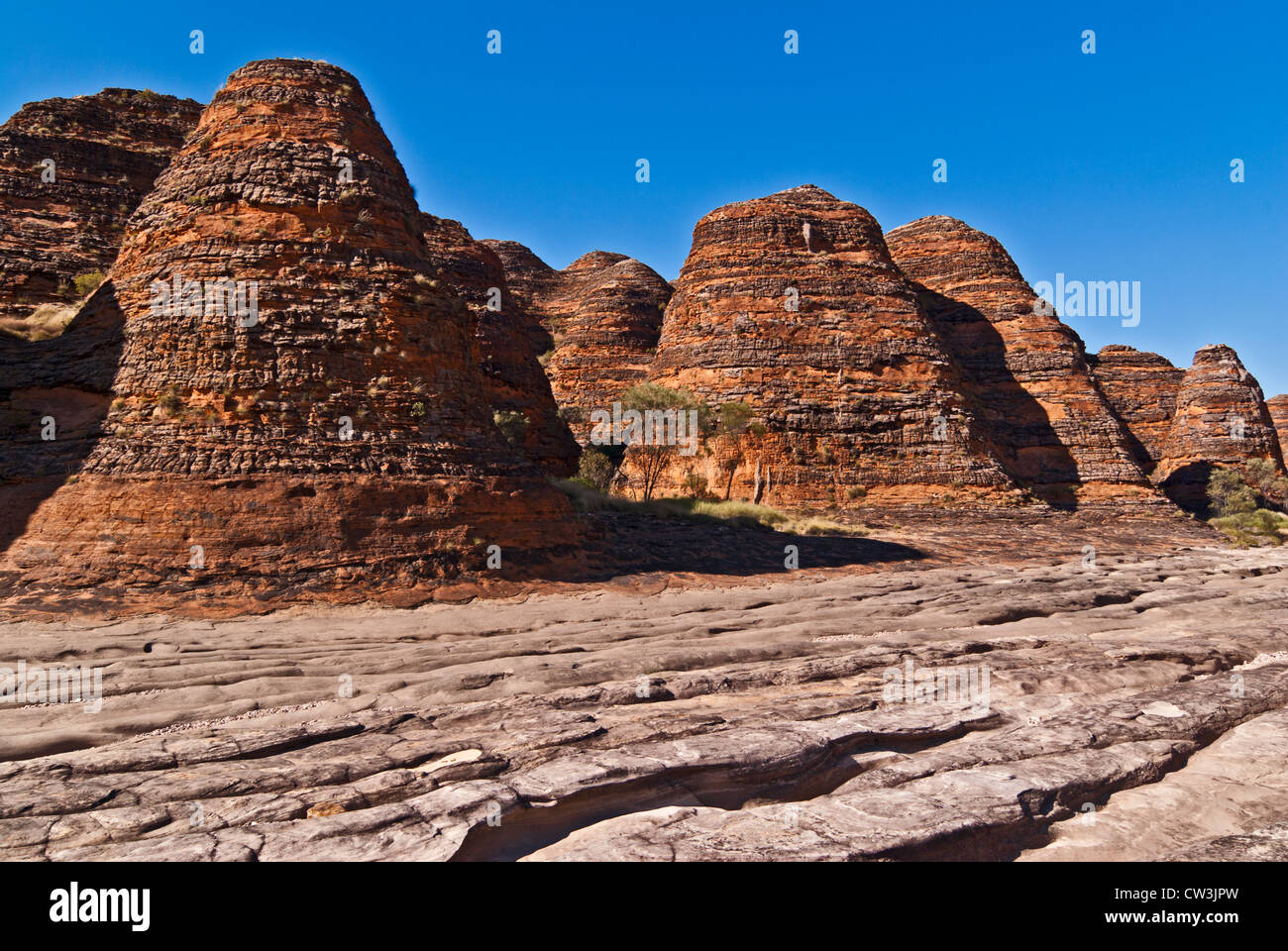 BUNGLE BUNGLE RANGE, Parco Nazionale di Purmululu, Australia occidentale, Australia Foto Stock