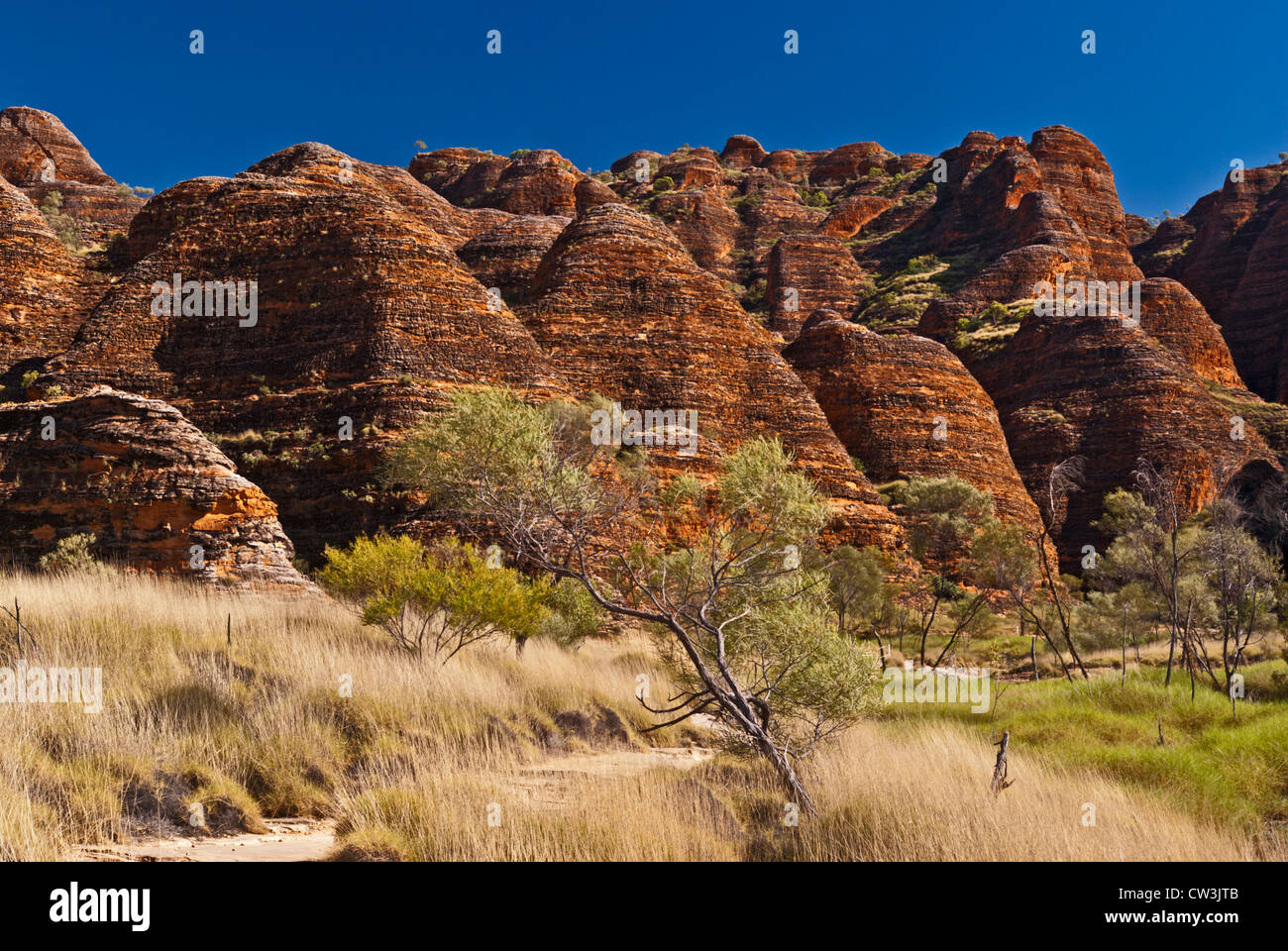 BUNGLE BUNGLE RANGE, Parco Nazionale di Purmululu, Australia occidentale, Australia Foto Stock