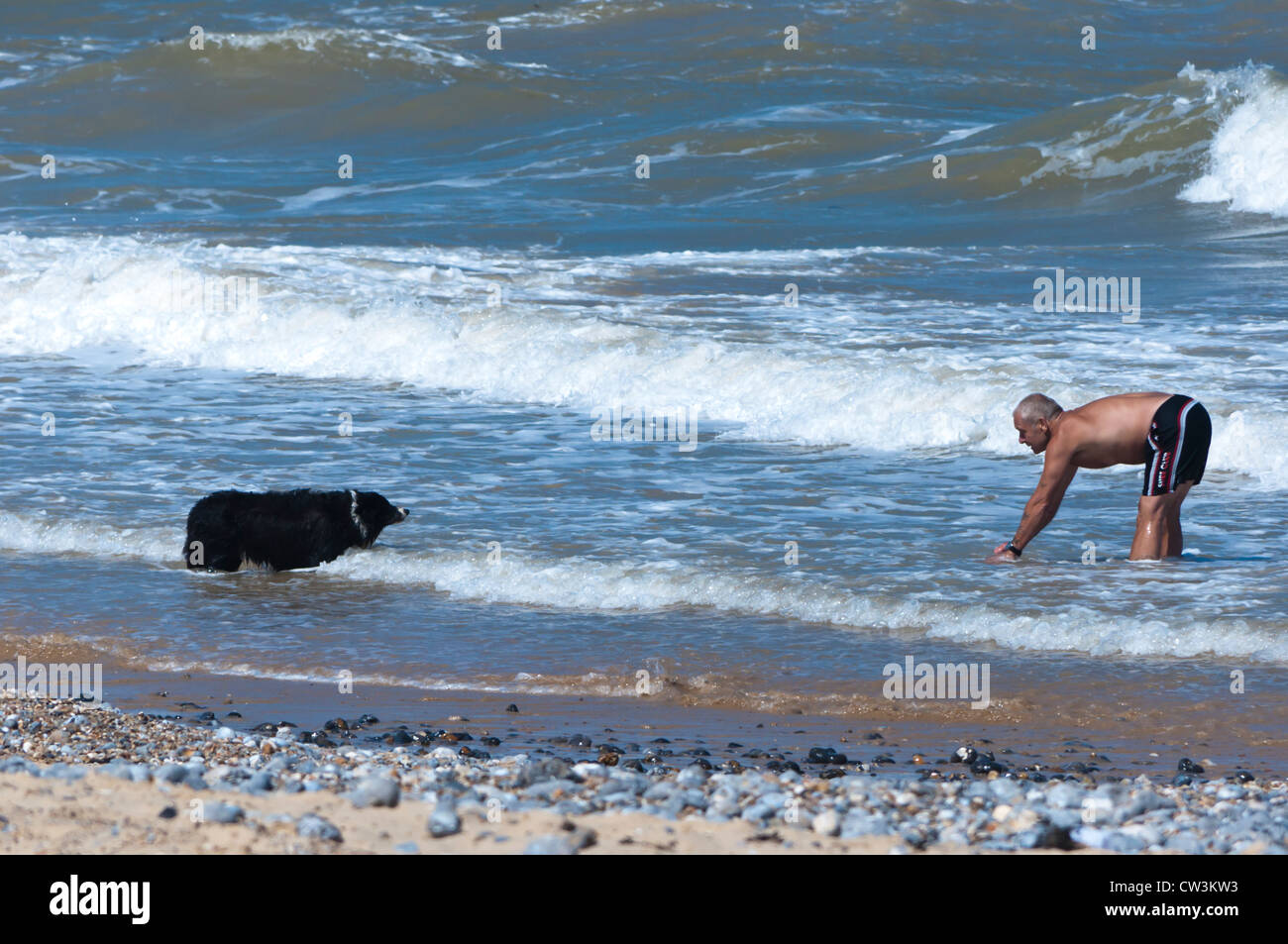 Maschio Senior giocando con il collie cane in mare Foto Stock