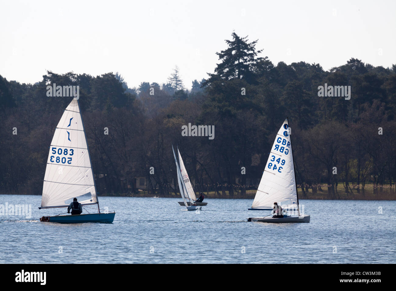 Quattro derive sulla grande a Frensham Pond Foto Stock