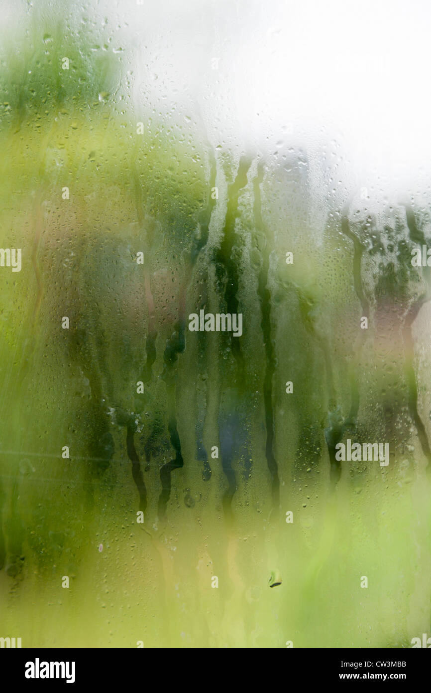 Colmi appannato non riuscita finestre a doppi vetri Foto Stock