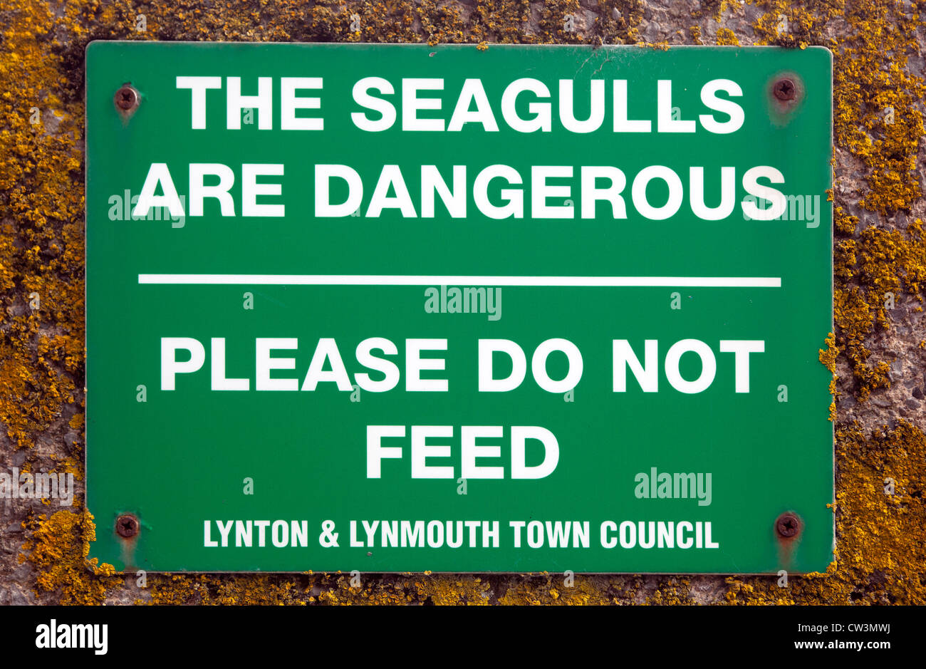 'I Gabbiani sono pericolose " segno di avvertimento Foto Stock