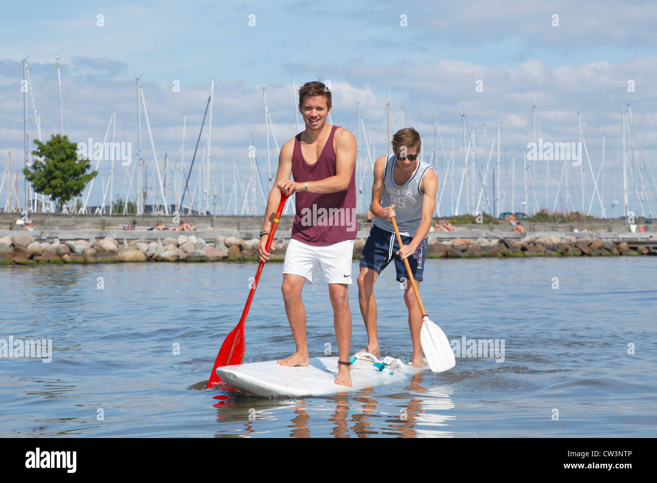 Due adolescenti divertendosi stand up paddling su un windsurf su una soleggiata giornata estiva sulla spiaggia a Rungsted Harbour, Danimarca. Foto Stock