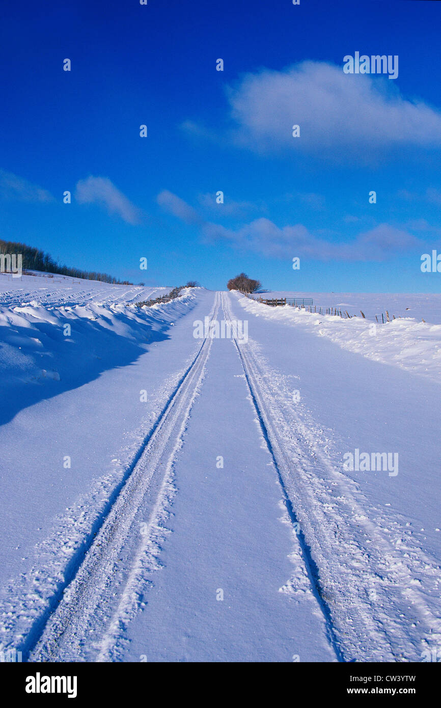 Questo ultimo dollaro strada nella neve. Esso Dallas dividere in San Juan Mountains. Essa mostra road di fresco con neve caduti con tracce di auto Foto Stock