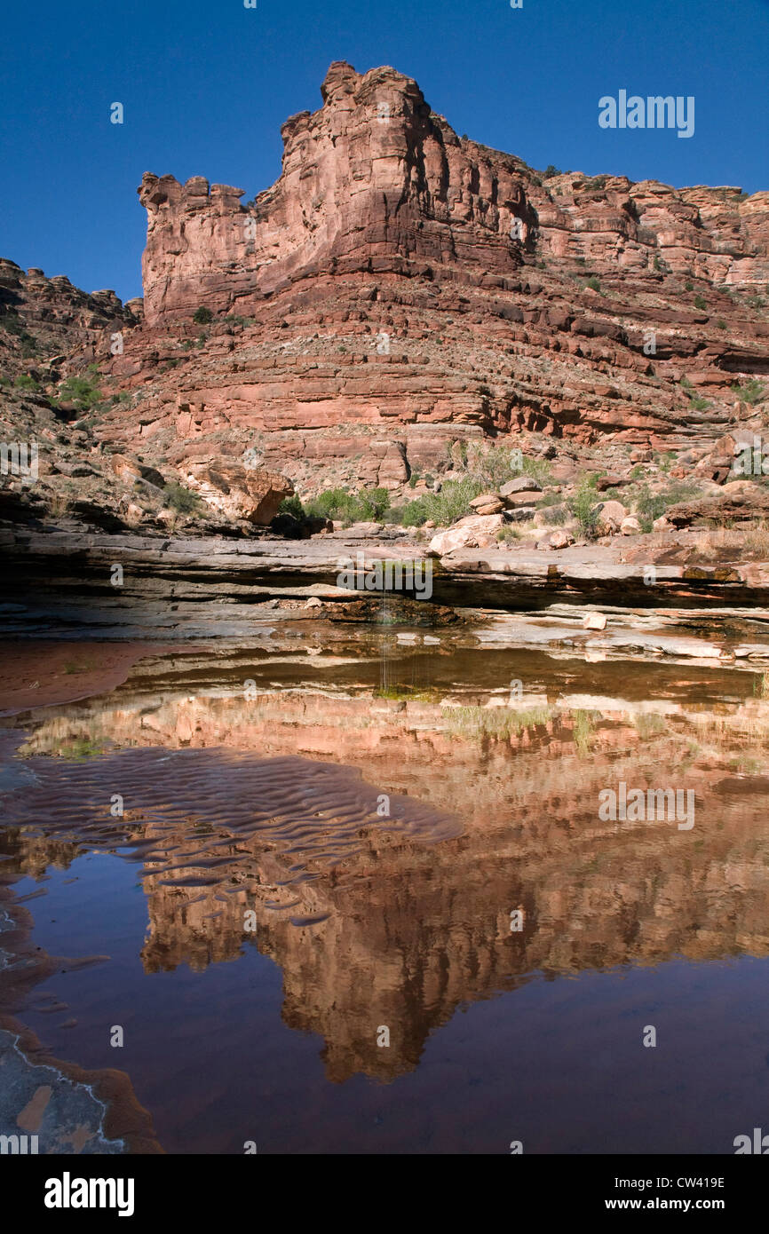 La riflessione di una montagna in un fiume, Parco Nazionale di Canyonlands, Utah, Stati Uniti d'America Foto Stock