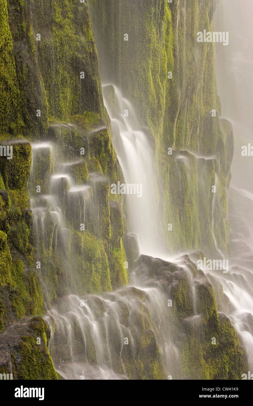 Cascata su una montagna, Proxy Falls, Willamette National Forest, Oregon, Stati Uniti d'America Foto Stock
