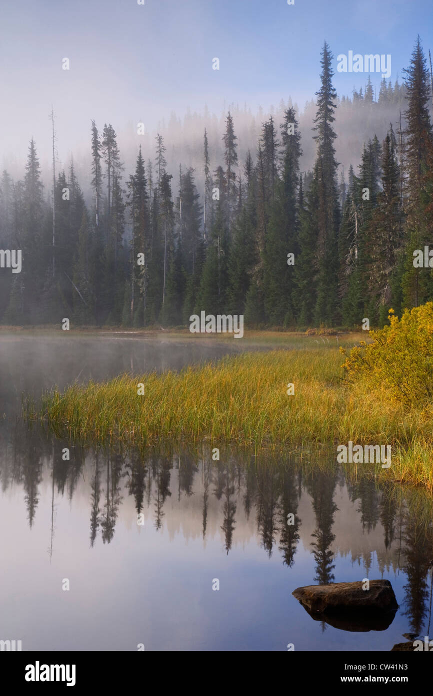 La riflessione di alberi in acqua, Scott Lago, Willamette National Forest, Oregon, Stati Uniti d'America Foto Stock
