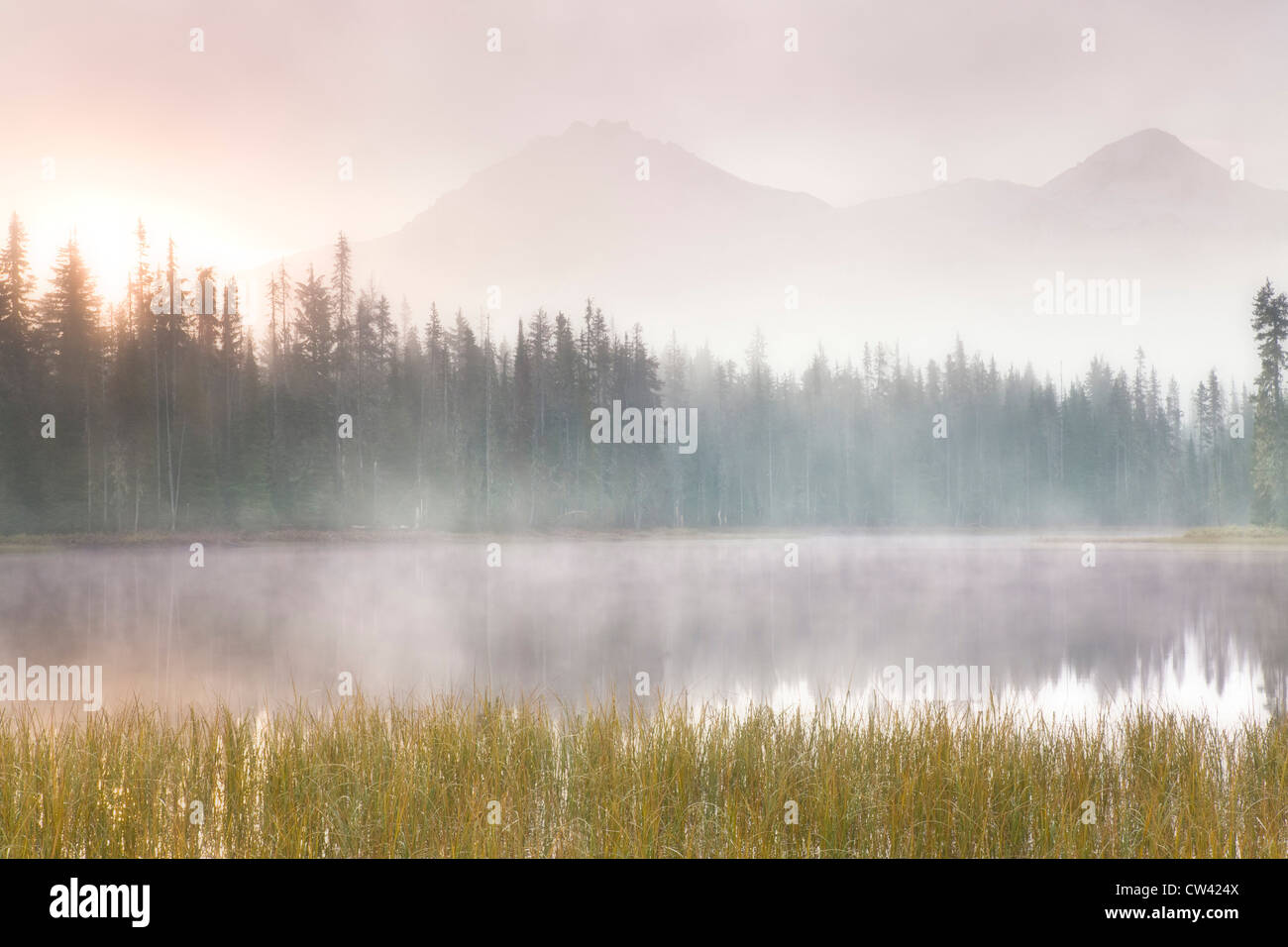 La nebbia su un lago di sunrise, Scott Lago, Willamette National Forest, Oregon, Stati Uniti d'America Foto Stock