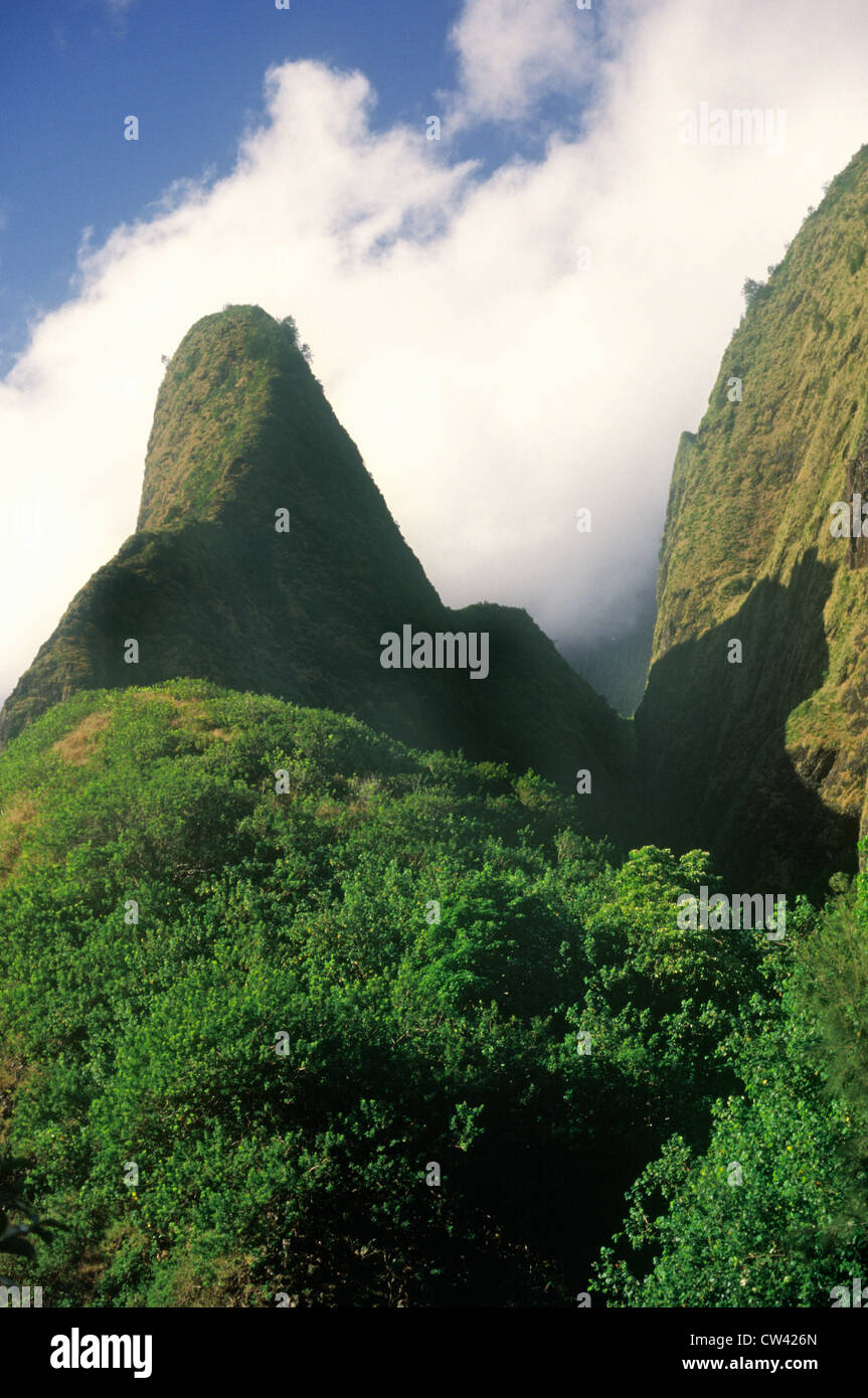 Iao ago In Iao Valley State Park, Maui, Hawaii Foto Stock