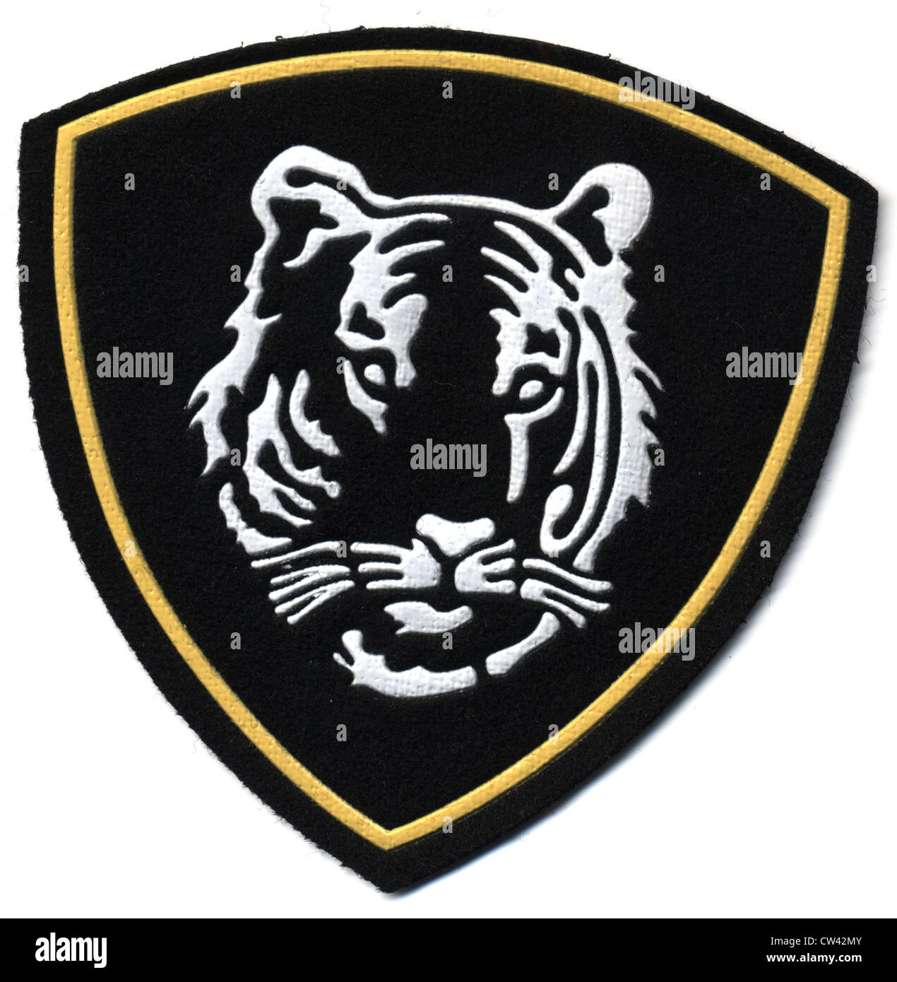 Patch del braccio dell'esercito russo. Interno della forza militare. Tiger Foto Stock
