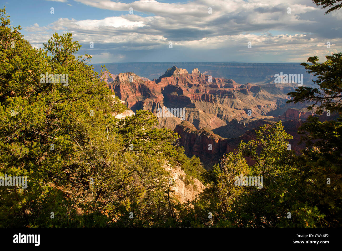 Il Bright Angel Point, North Rim del Grand Canyon Foto Stock