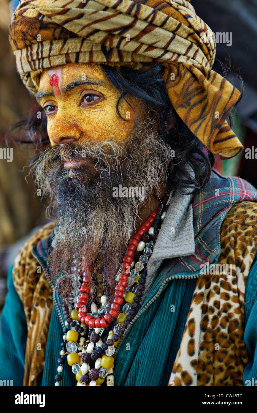 Sadhu (uomo santo) a Kumbh Mela Festival 2010, Haridwar, India. Foto Stock