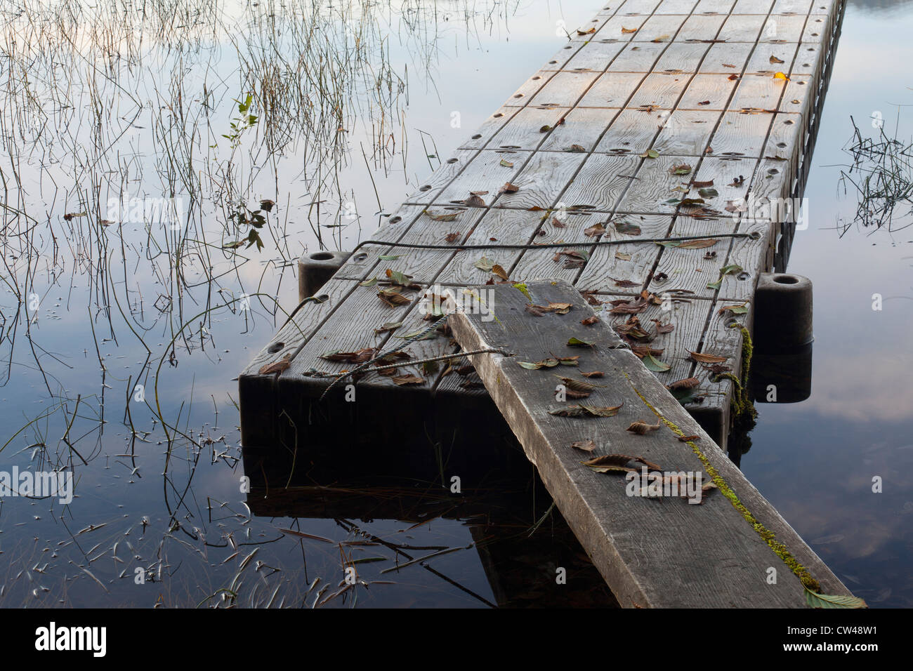 Vecchio dock a un lago in autunno, Lago Quinault, nello Stato di Washington, USA Foto Stock