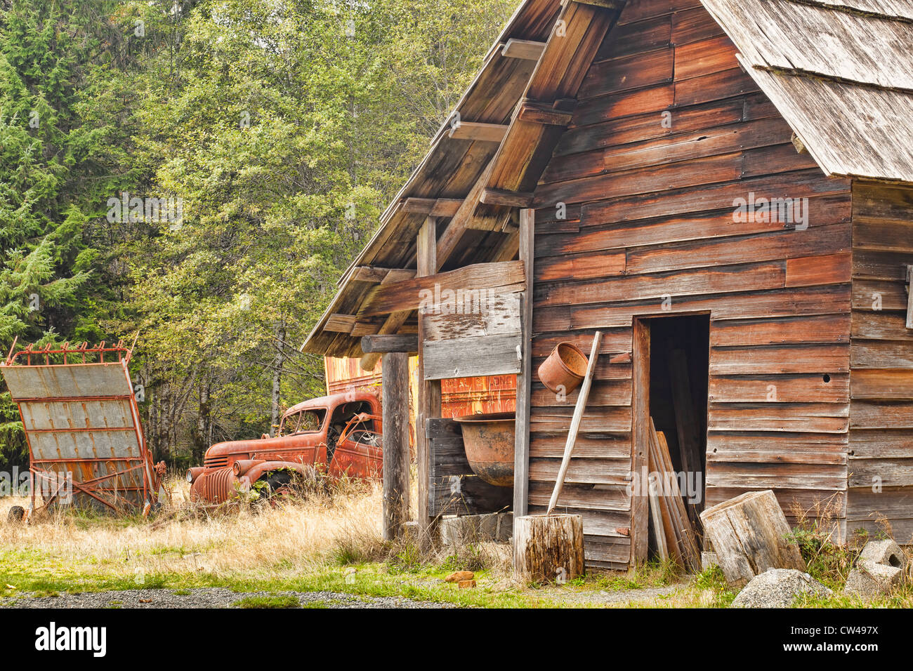 Abbandonato log cabin, Kestner Homestead, Quinault la foresta pluviale, il Parco Nazionale di Olympic, nello Stato di Washington, USA Foto Stock