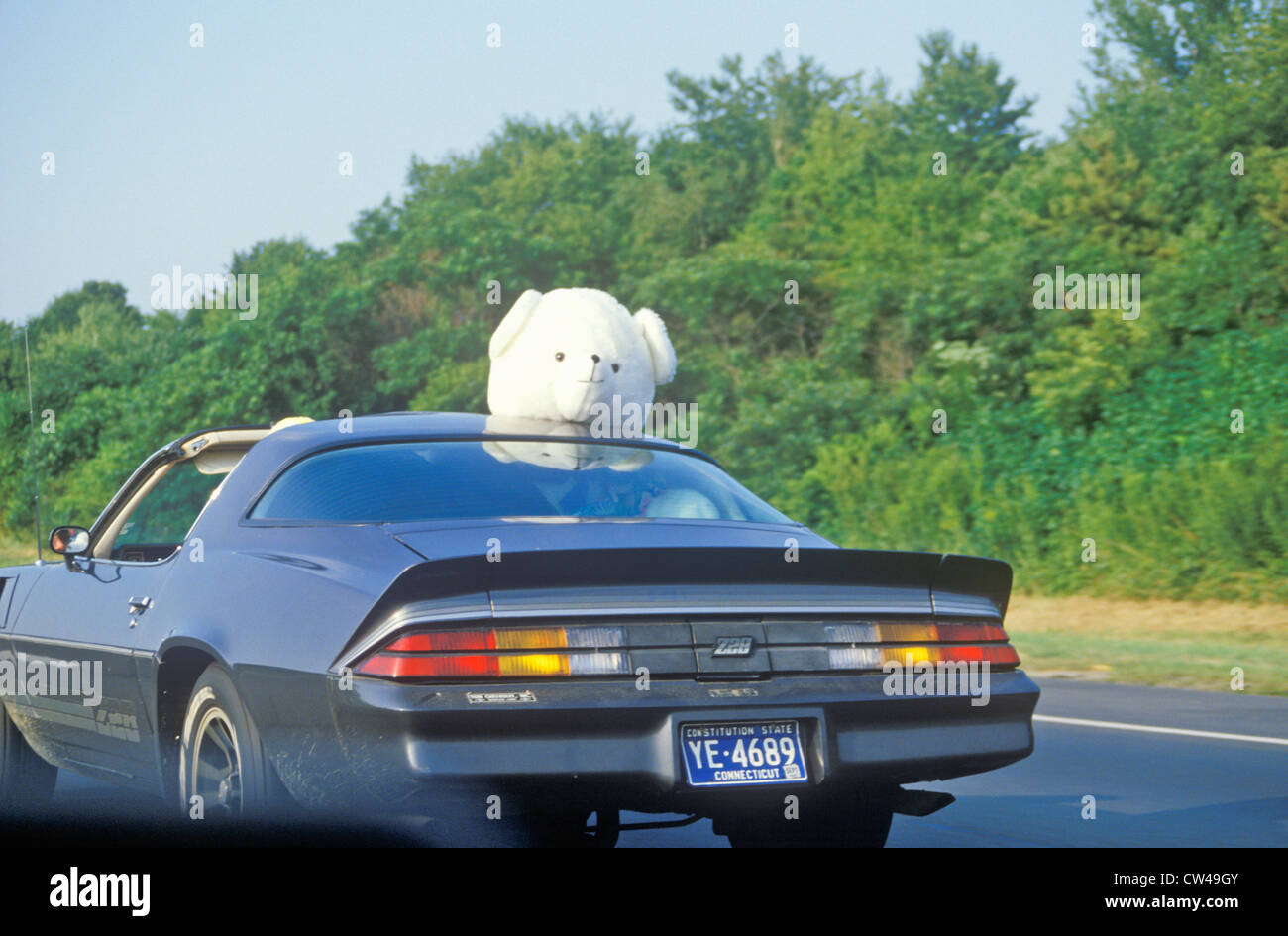 Animali impagliati sulla parte superiore della vettura su New Jersey Turnpike, NJ Foto Stock