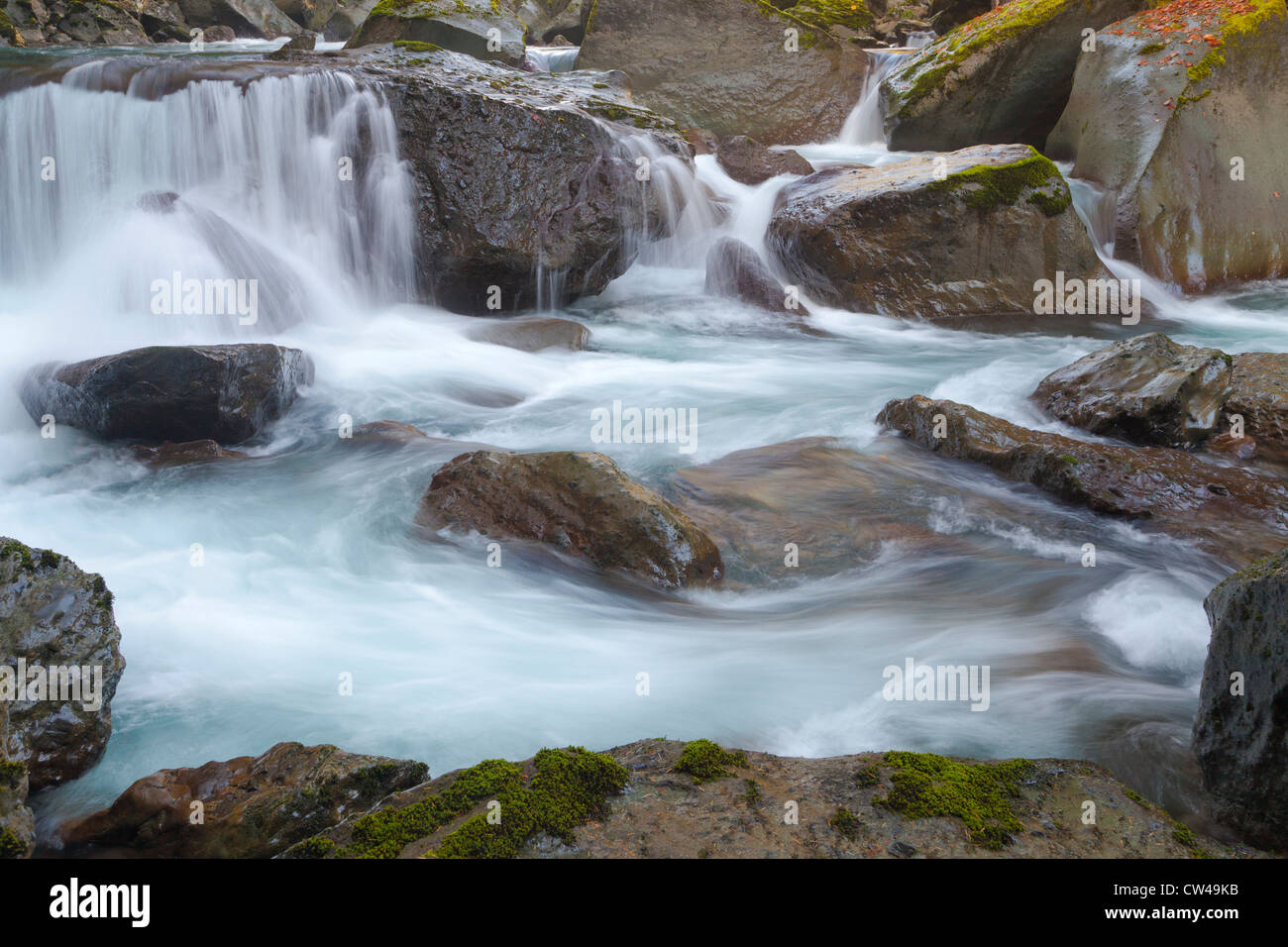Rapids nel North Fork Skokomish River, nello Stato di Washington, USA Foto Stock