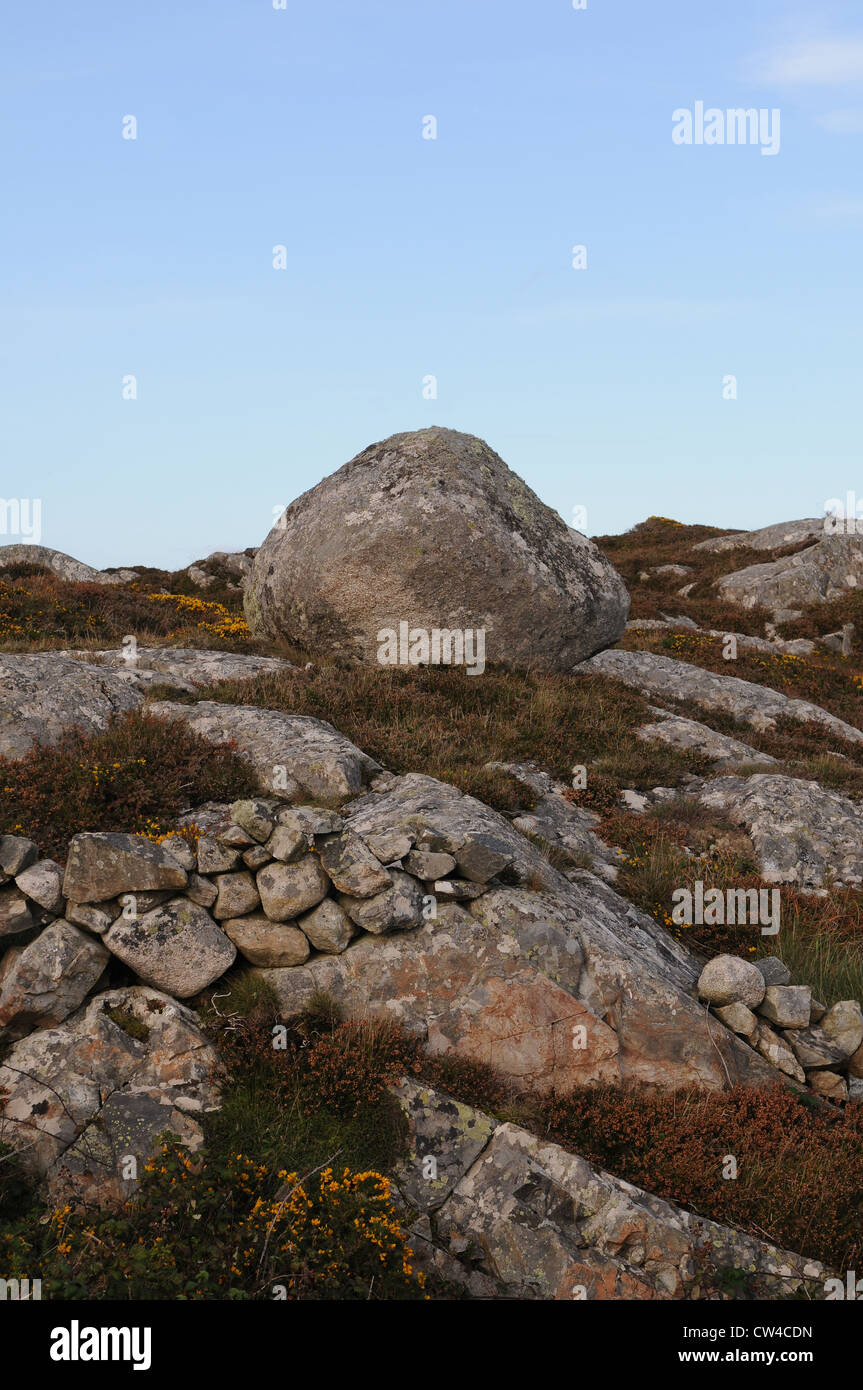 Boulder e pietra paesaggio, Lettermullan Conamara County Galway, Irlanda Foto Stock
