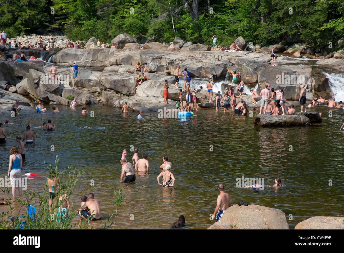 Nuotatori in un caldo pomeriggio estivo presso le cascate inferiori del Fiume Swift nel White Mountain National Forest. Foto Stock