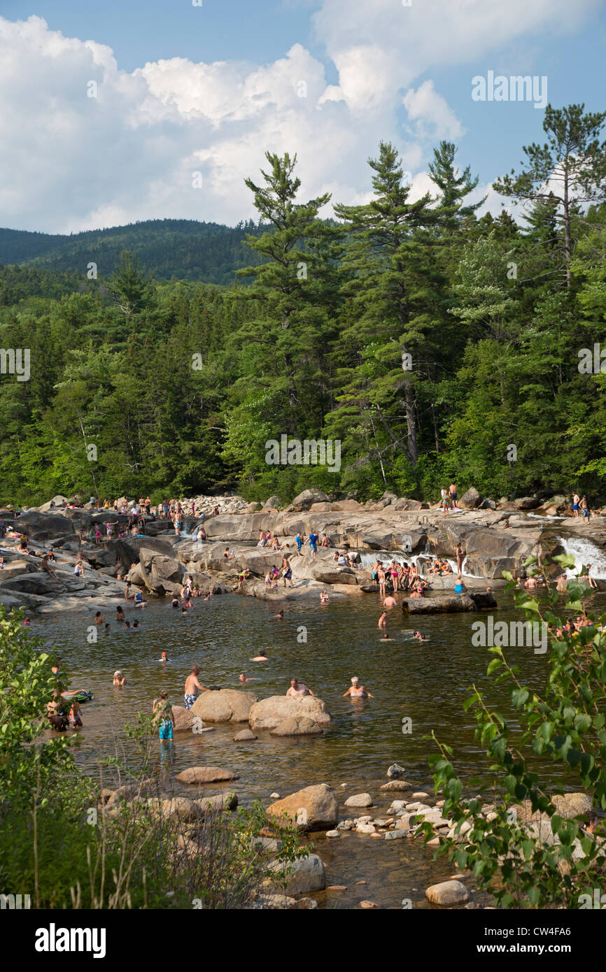 Nuotatori in un caldo pomeriggio estivo presso le cascate inferiori del Fiume Swift nel White Mountain National Forest. Foto Stock
