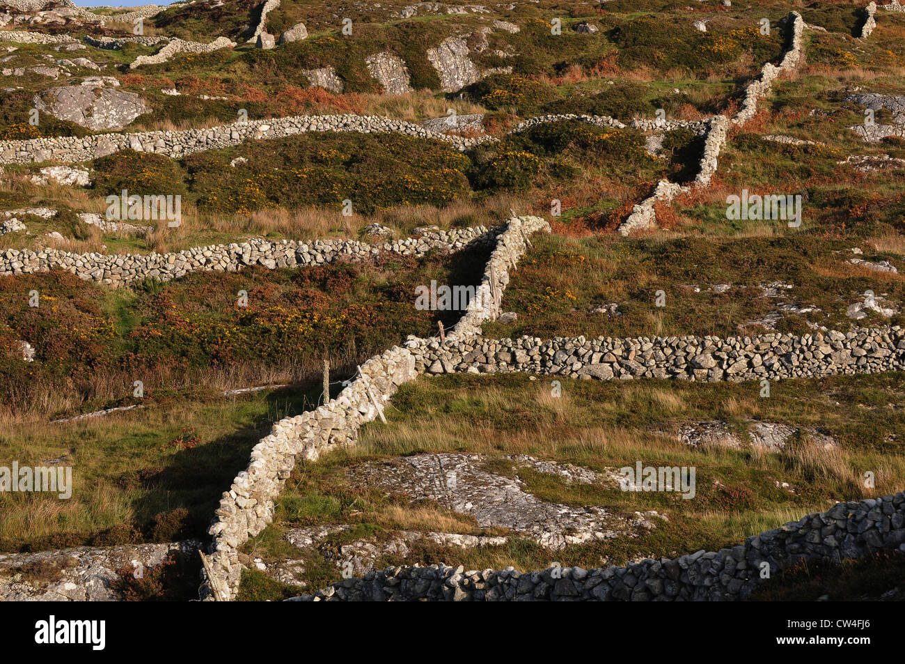I muri in pietra serpente attraverso il paesaggio boundarys, Carraroe, Conamara County Galway, Irlanda Foto Stock
