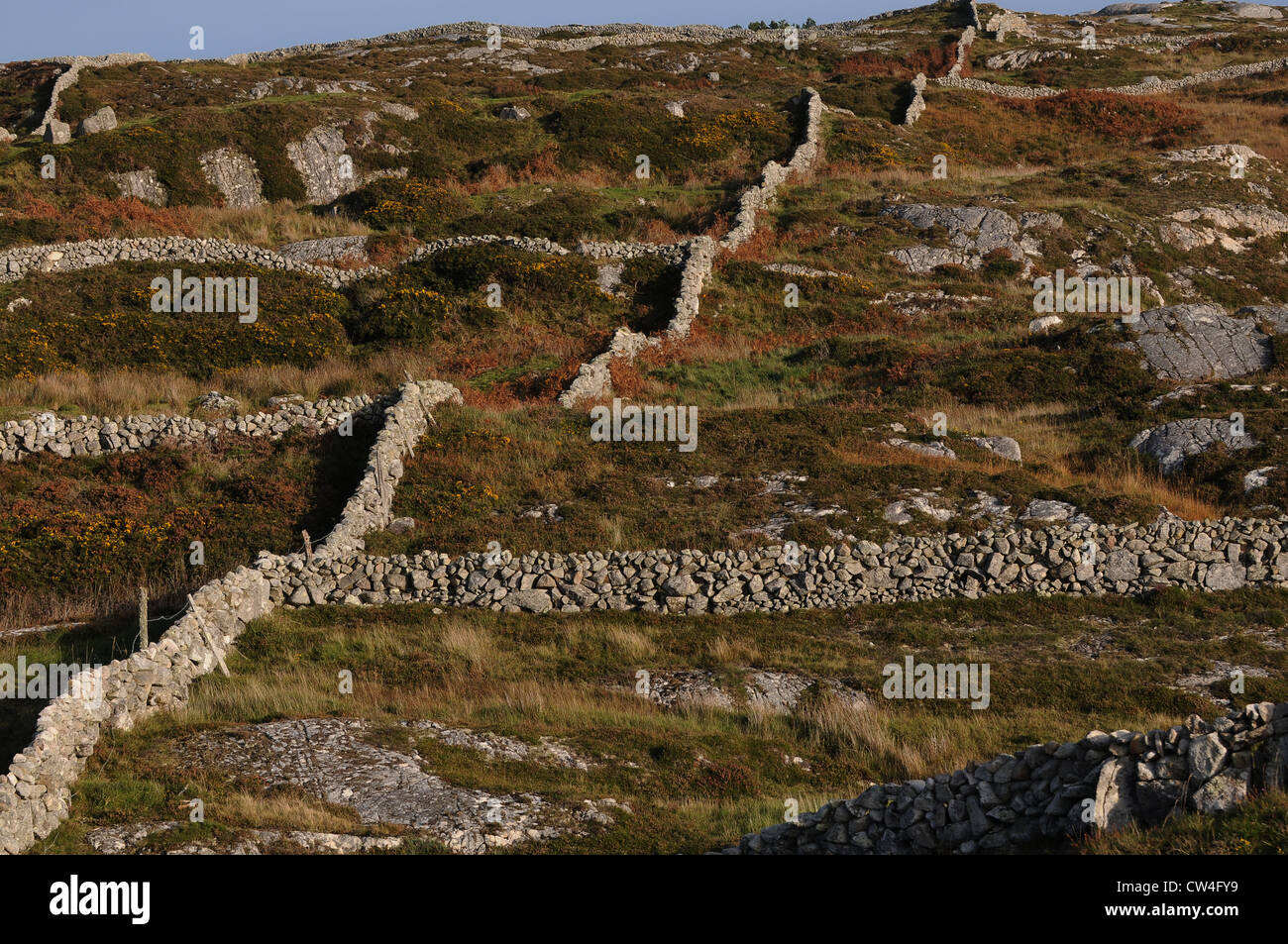 I muri in pietra serpente attraverso il paesaggio boundarys, Carraroe, Conamara County Galway, Irlanda Foto Stock