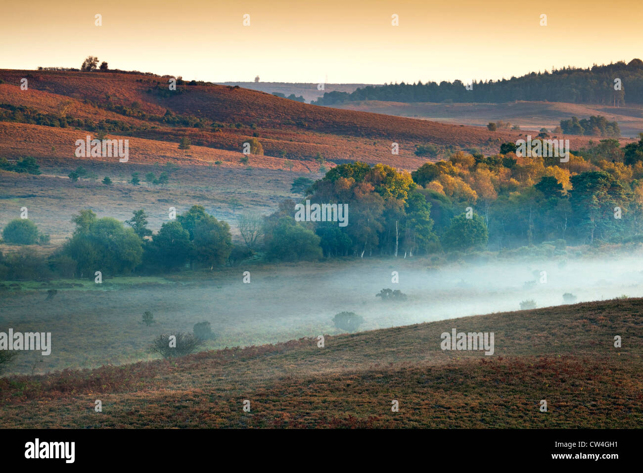 Un inizio di mattina vista di Rockford, comune nel nuovo Parco Nazionale Foreste, in autunno con nebbia Foto Stock