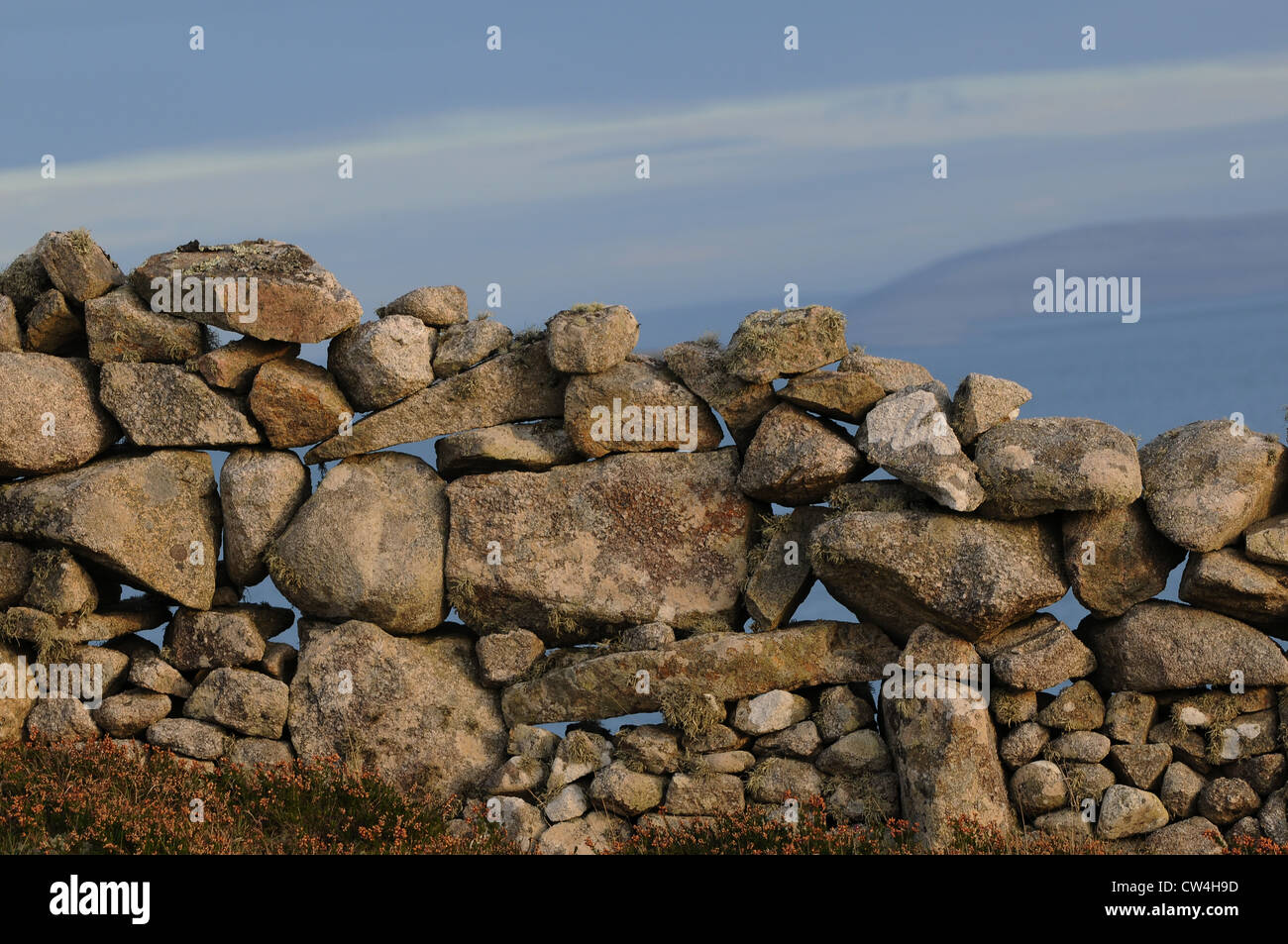 Asciugare la parete di pietra a confine campo Carraroe, Conamara County Galway, Irlanda Foto Stock