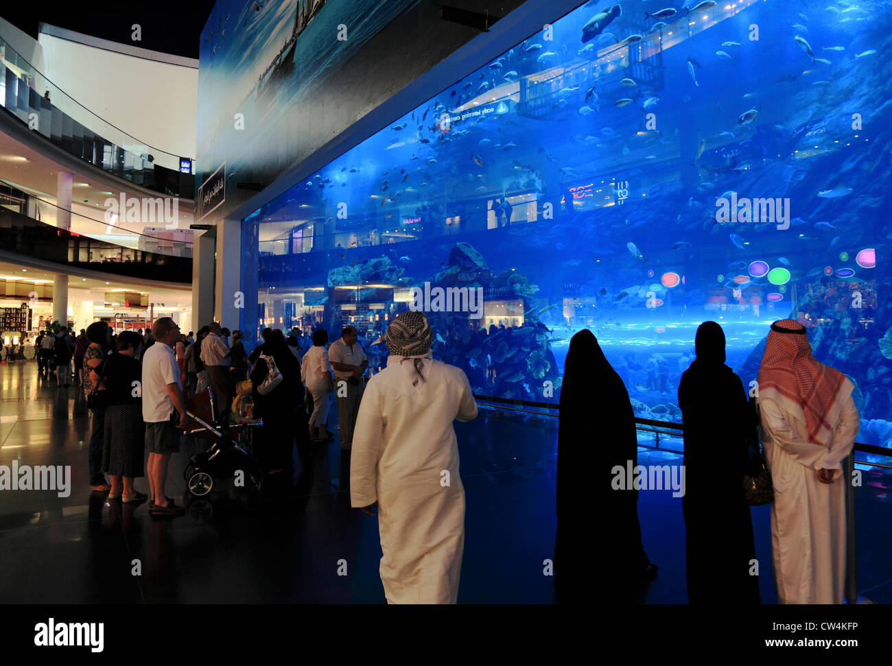 3580. Acquario, centro commerciale di Dubai, Dubai, EAU. Foto Stock
