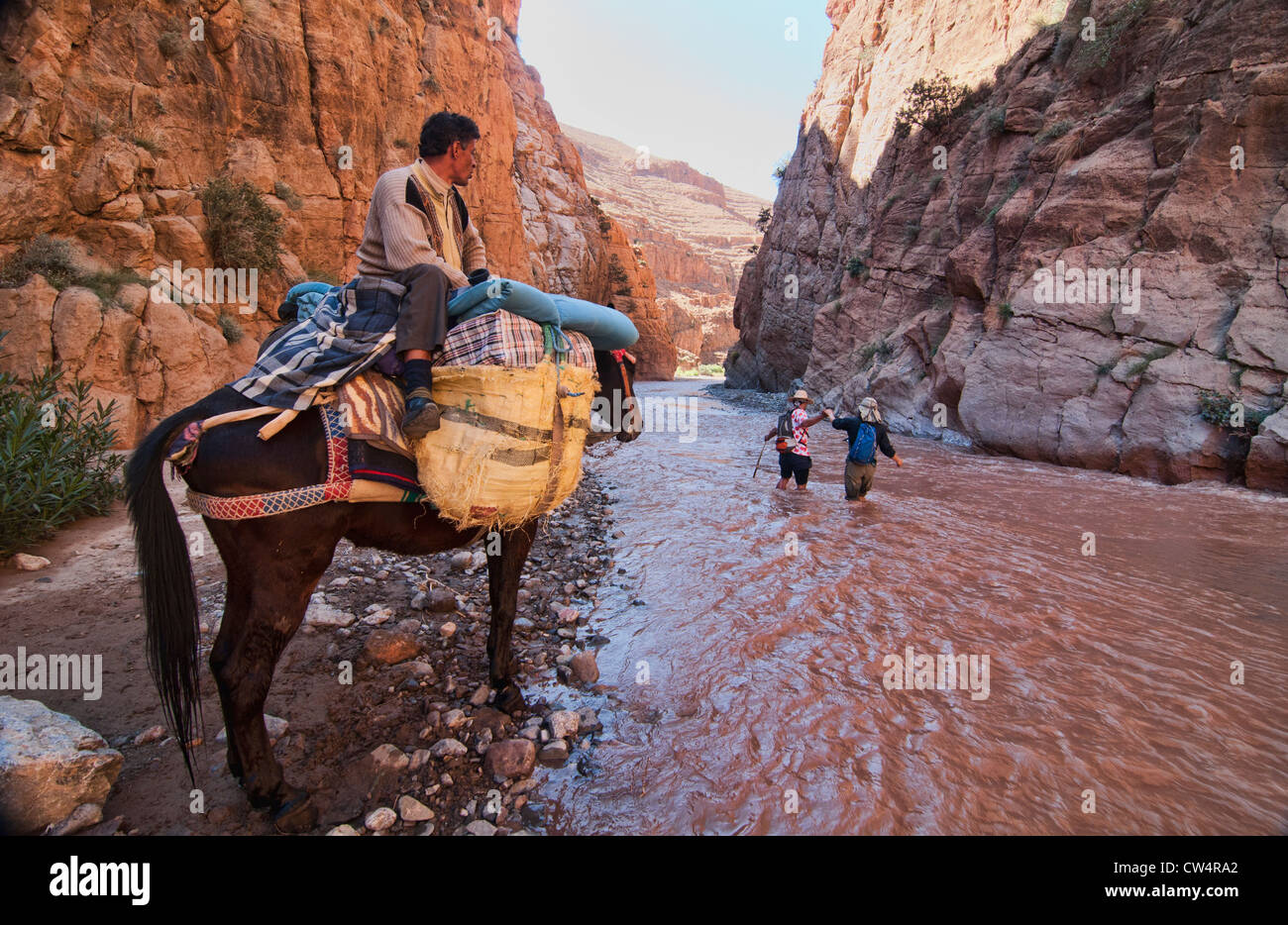 Trekking attraverso il M'Goun Gorges del sud montagne Atlas, Marocco Foto Stock