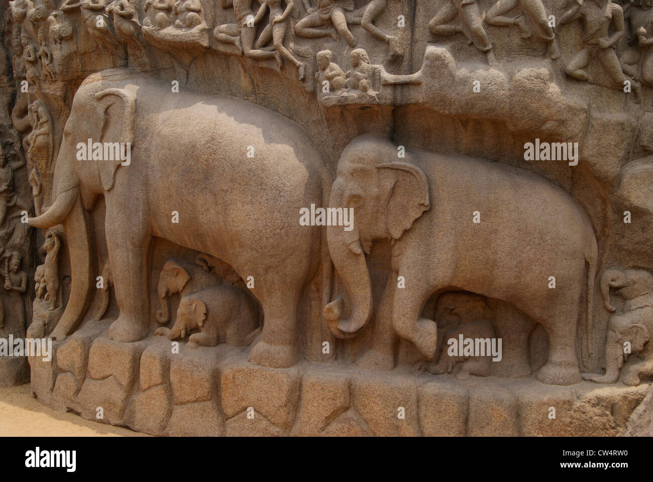 Sculture di elefante ad Arjuna la penitenza in Mahabalipuram India.Elefante scultura scolpita in granito.sito Patrimonio Mondiale dell'UNESCO Foto Stock