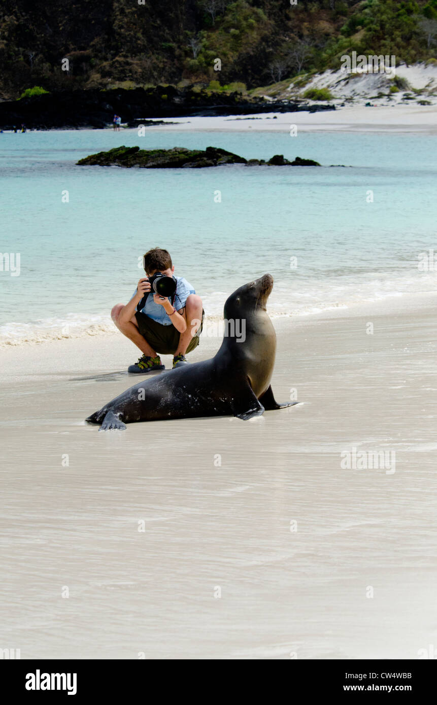Ecuador, Galapagos, San Cristobal. Ragazzo giovane prendendo foto delle Galapagos Sea Lion (Zalophus wollebacki) sulla spiaggia. Foto Stock