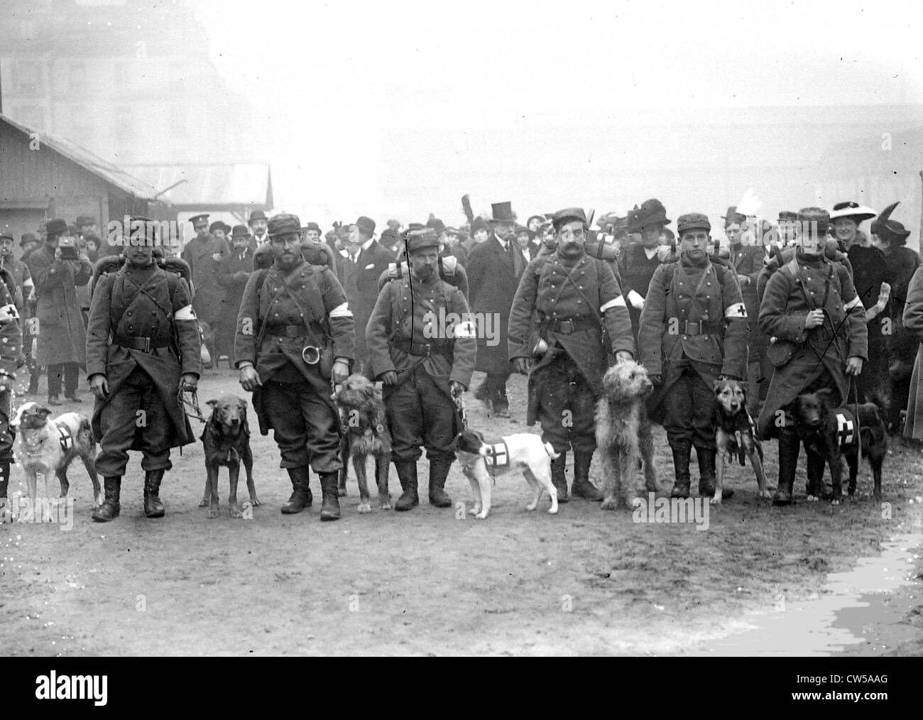 La partenza dei cani da salvataggio per la parte anteriore ed il 11 febbraio, 1915 Foto Stock