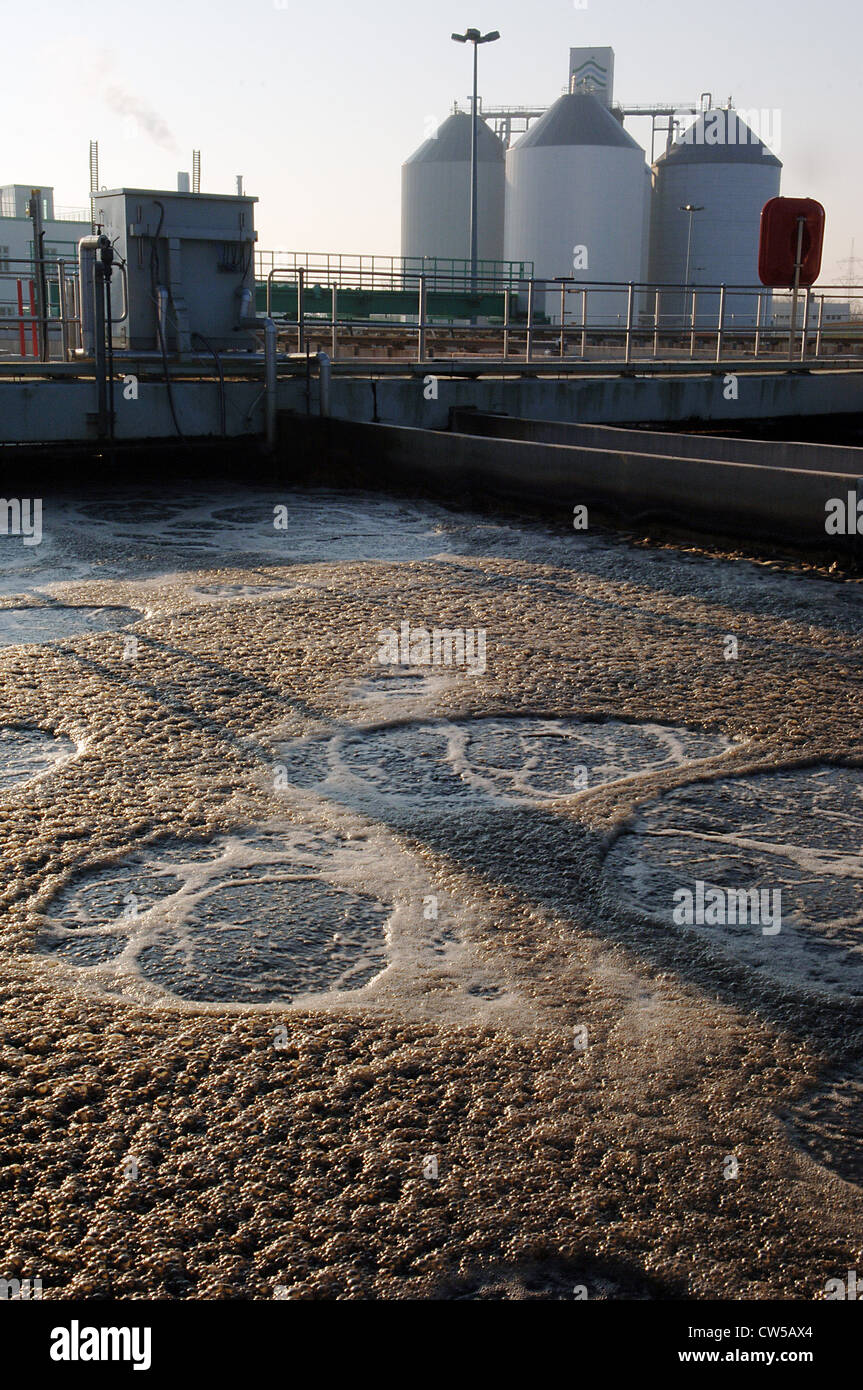 Impianto di depurazione e di trattamento delle acque reflue, Bernau Foto Stock