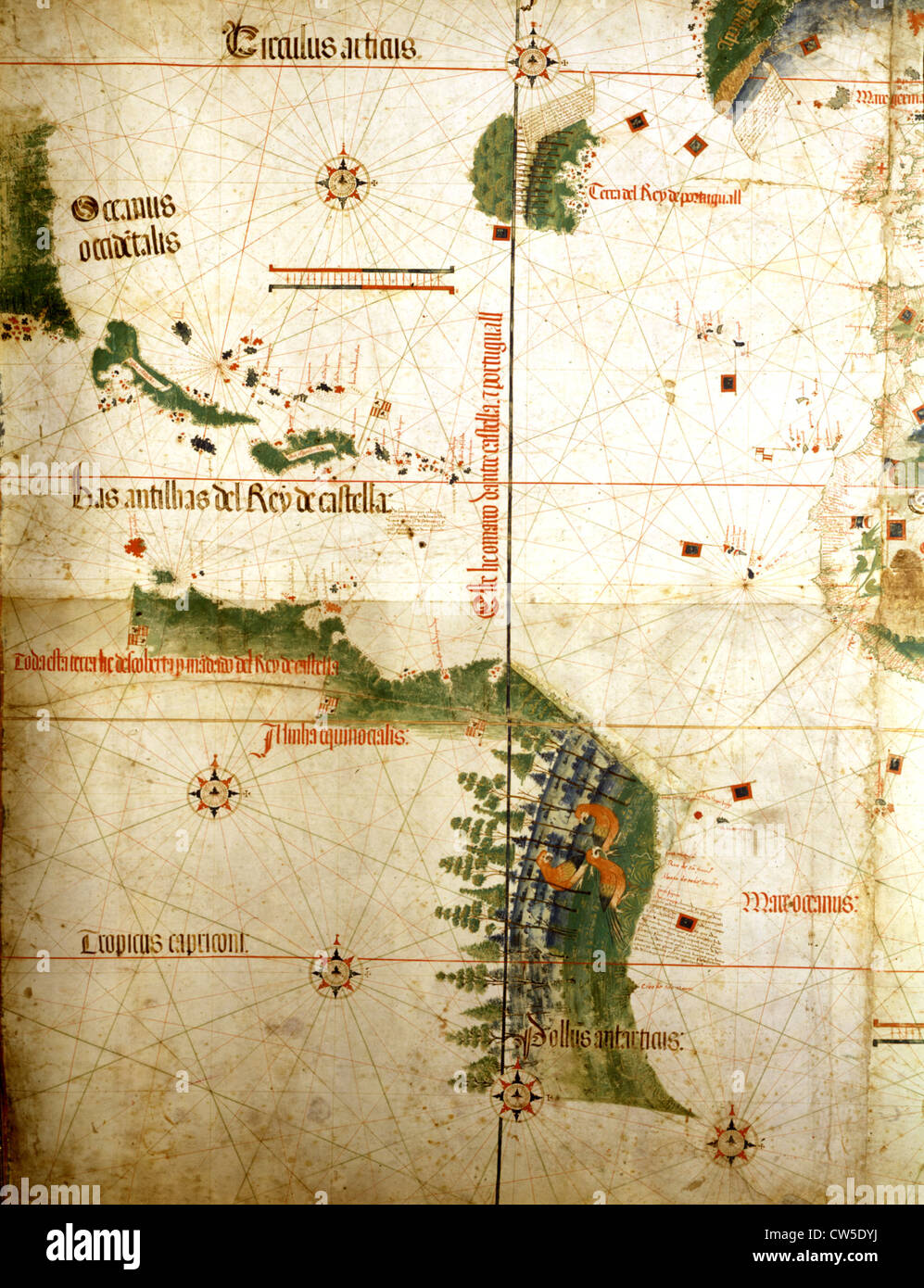 Mappa portoghese, noto come Cantino mappa del XVI secolo Foto Stock