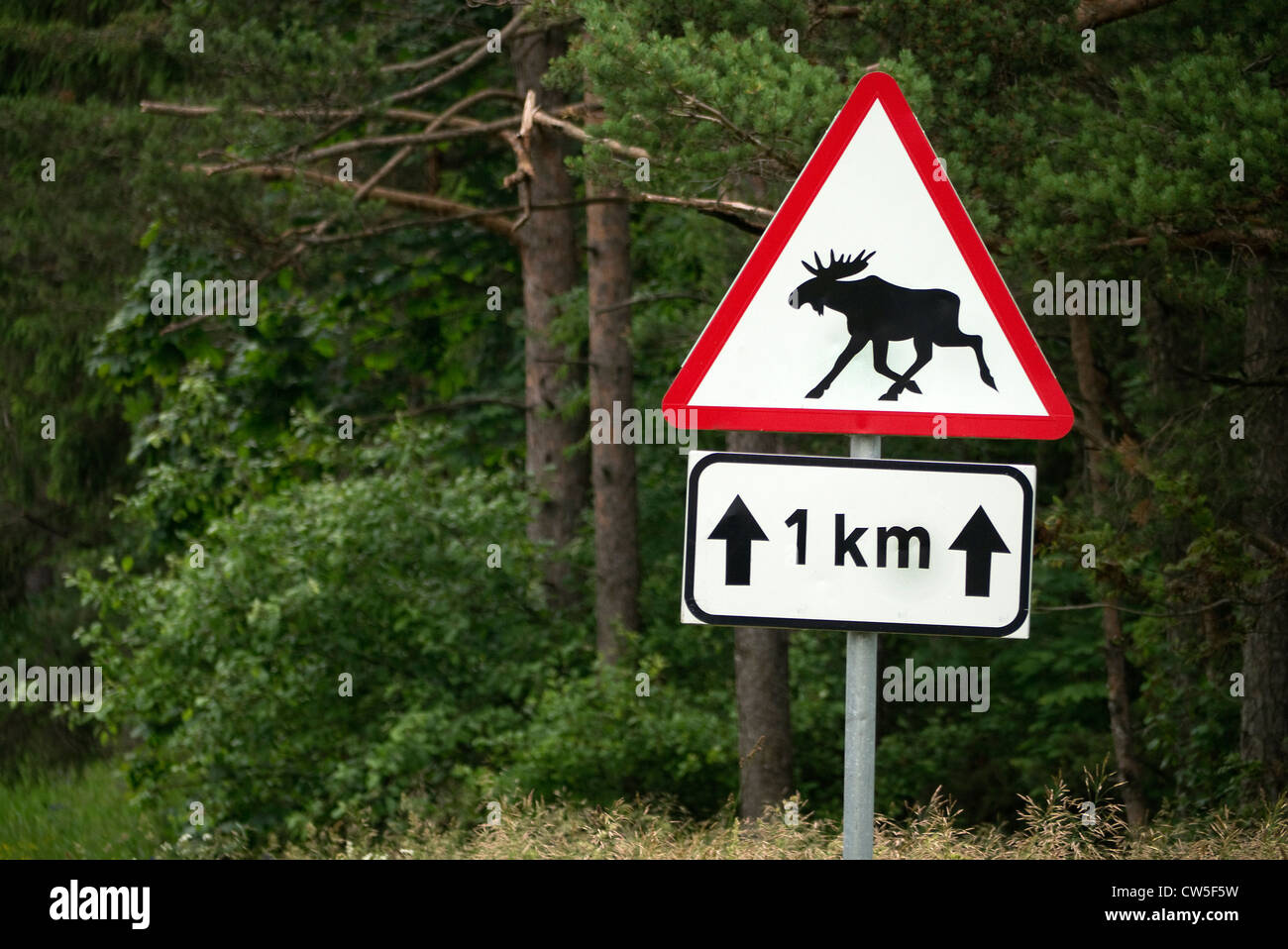 Alci segno di avvertimento in Estonia Foto Stock