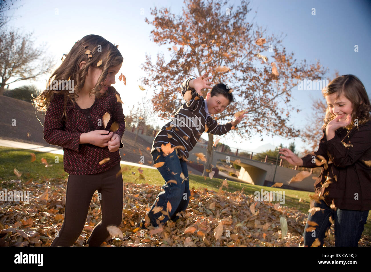 Bambini che giocano su un mucchio di foglie secche in un parco Foto Stock
