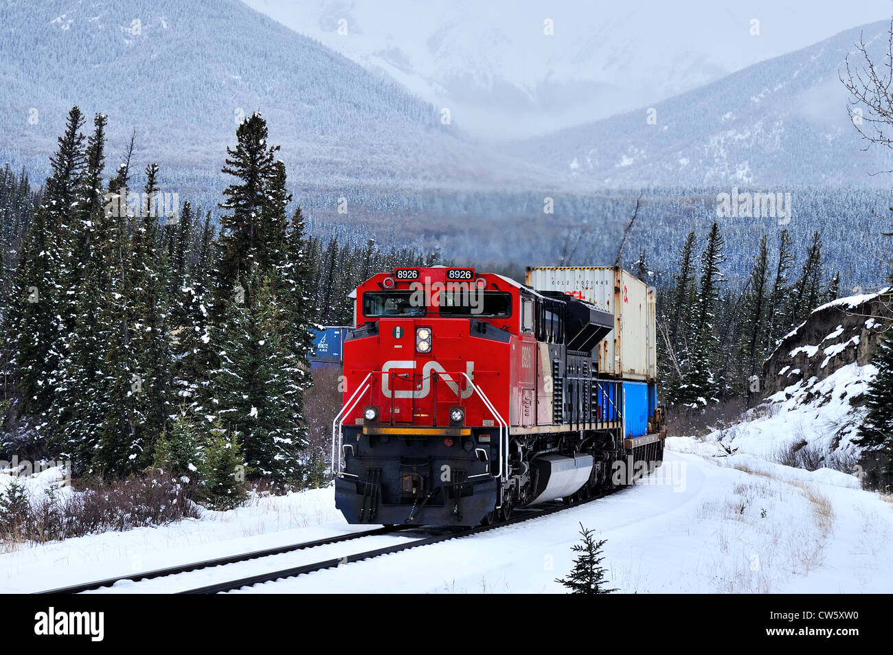 Un Canadian National treno merci Foto Stock