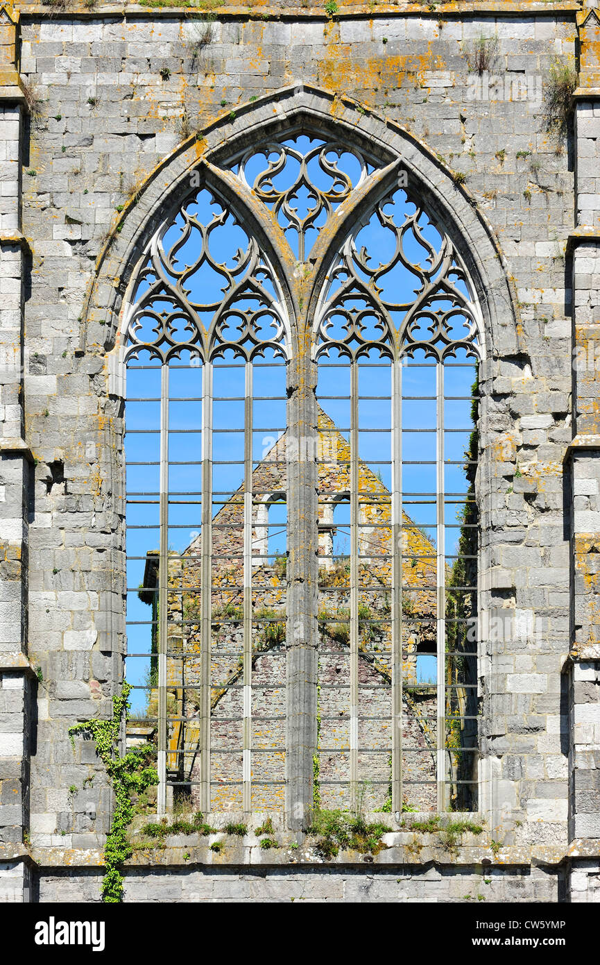 Finestra con tracery gotica in rovine dell'abbazia di Aulne, un monastero cistercense a Thuin, Hainaut, Belgio Foto Stock