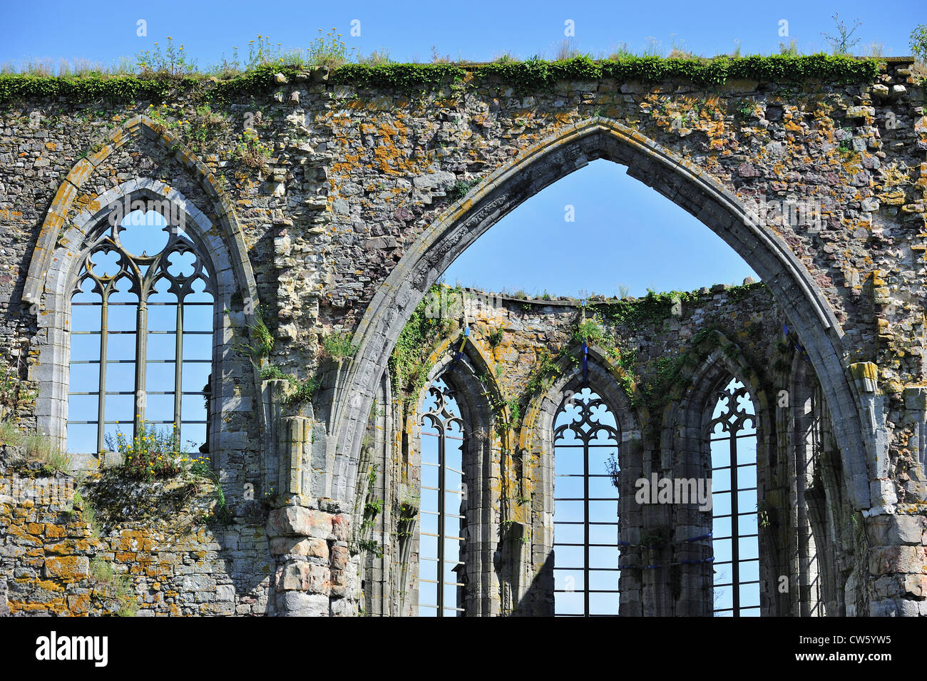 Finestre gotiche con tracery presso le rovine dell'abbazia di Aulne, un monastero cistercense a Thuin, Hainaut, Belgio Foto Stock